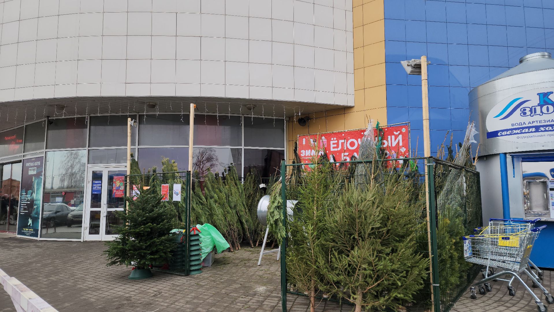 луховицы, елочный базар, зима в подмосковье, новый год 2026,