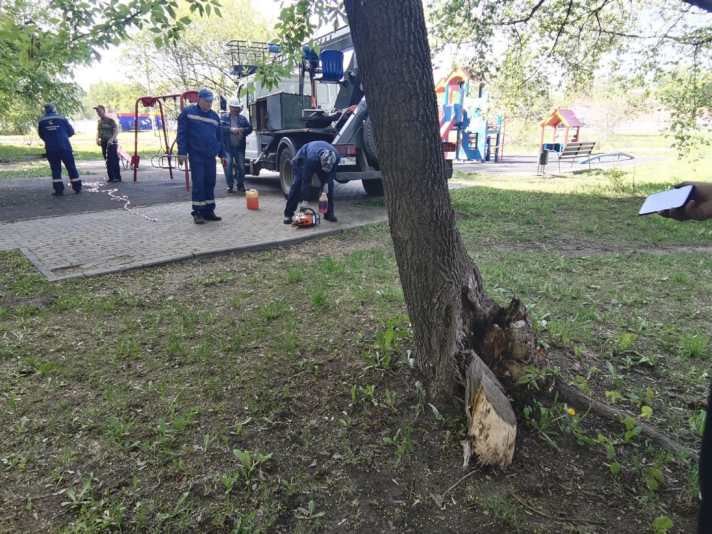 Балашиха, дерево, аварийное дерево, растения, улица Советская дом 24, Благоустройство, автовышка, бригада, спиливание веток, пень