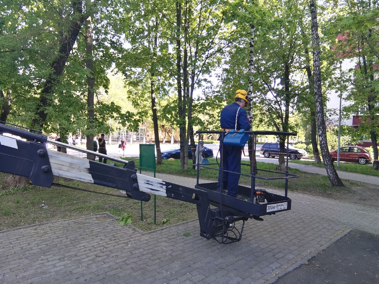 Балашиха, дерево, аварийное дерево, растения, улица Советская дом 24, Благоустройство, автовышка, бригада, спиливание веток, пень