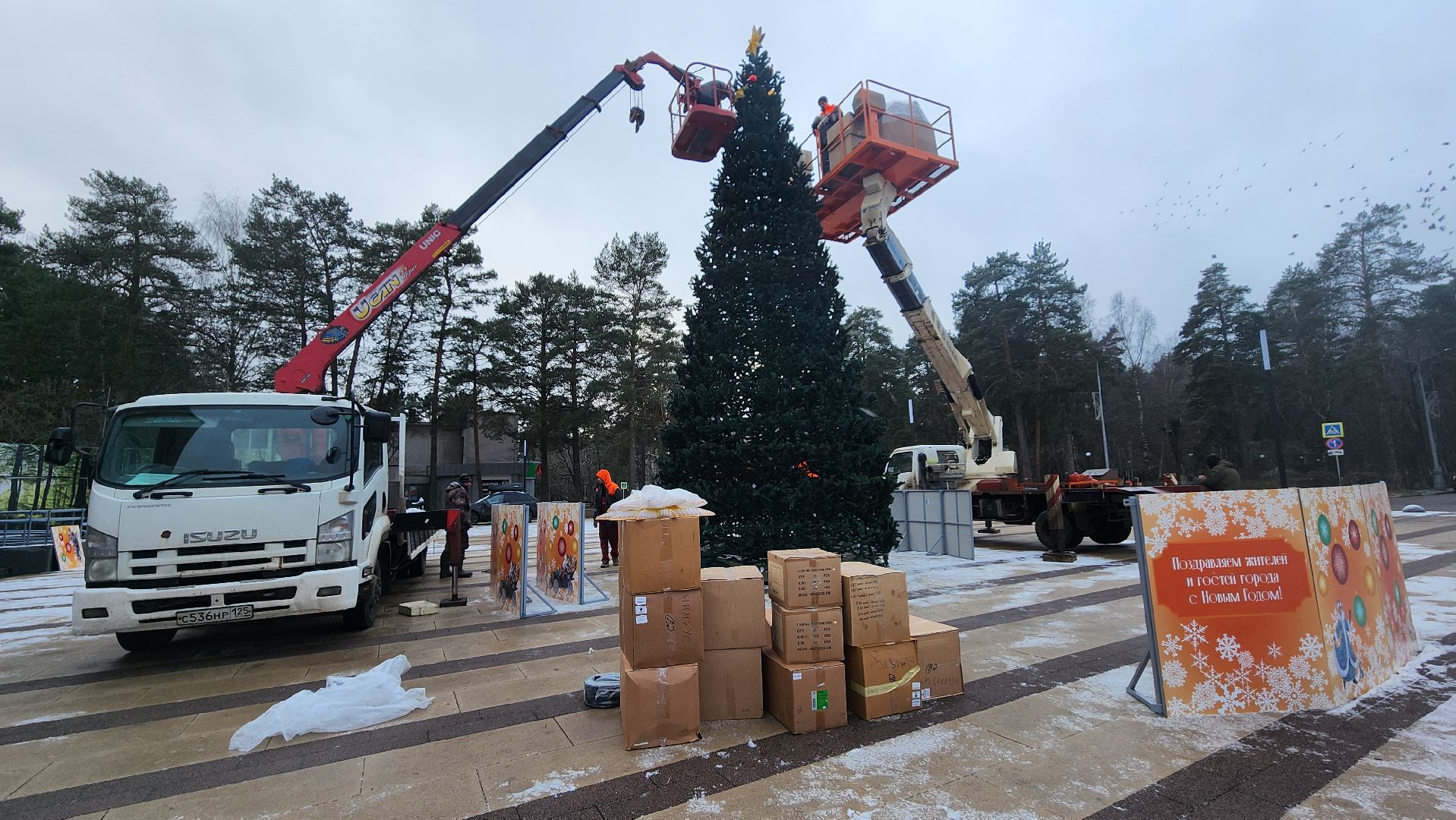 новогоднее оформление, новый год 2026, главная елка протвино,