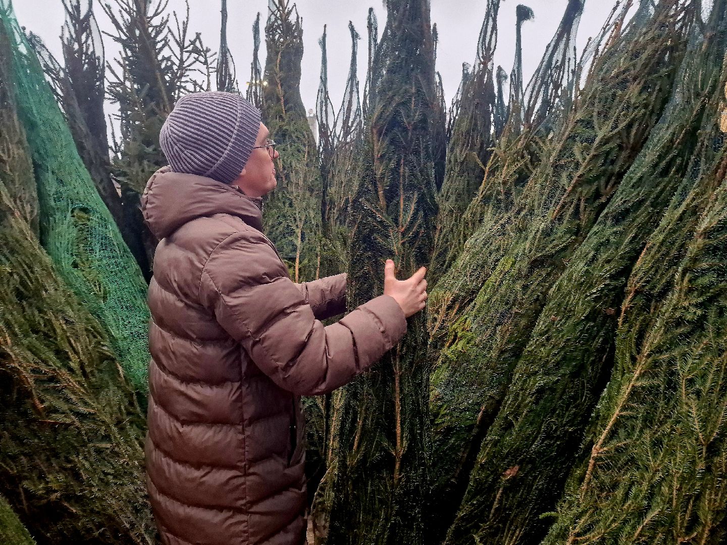 воскресенск, елочные базары,