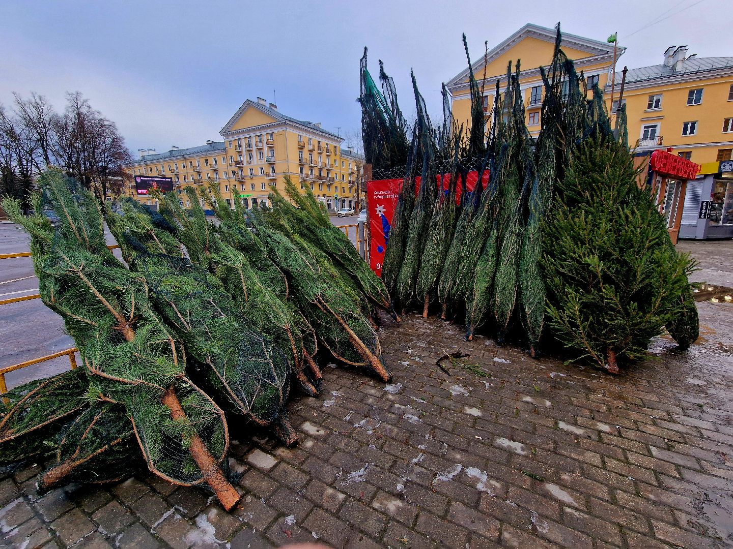 воскресенск, елочные базары,