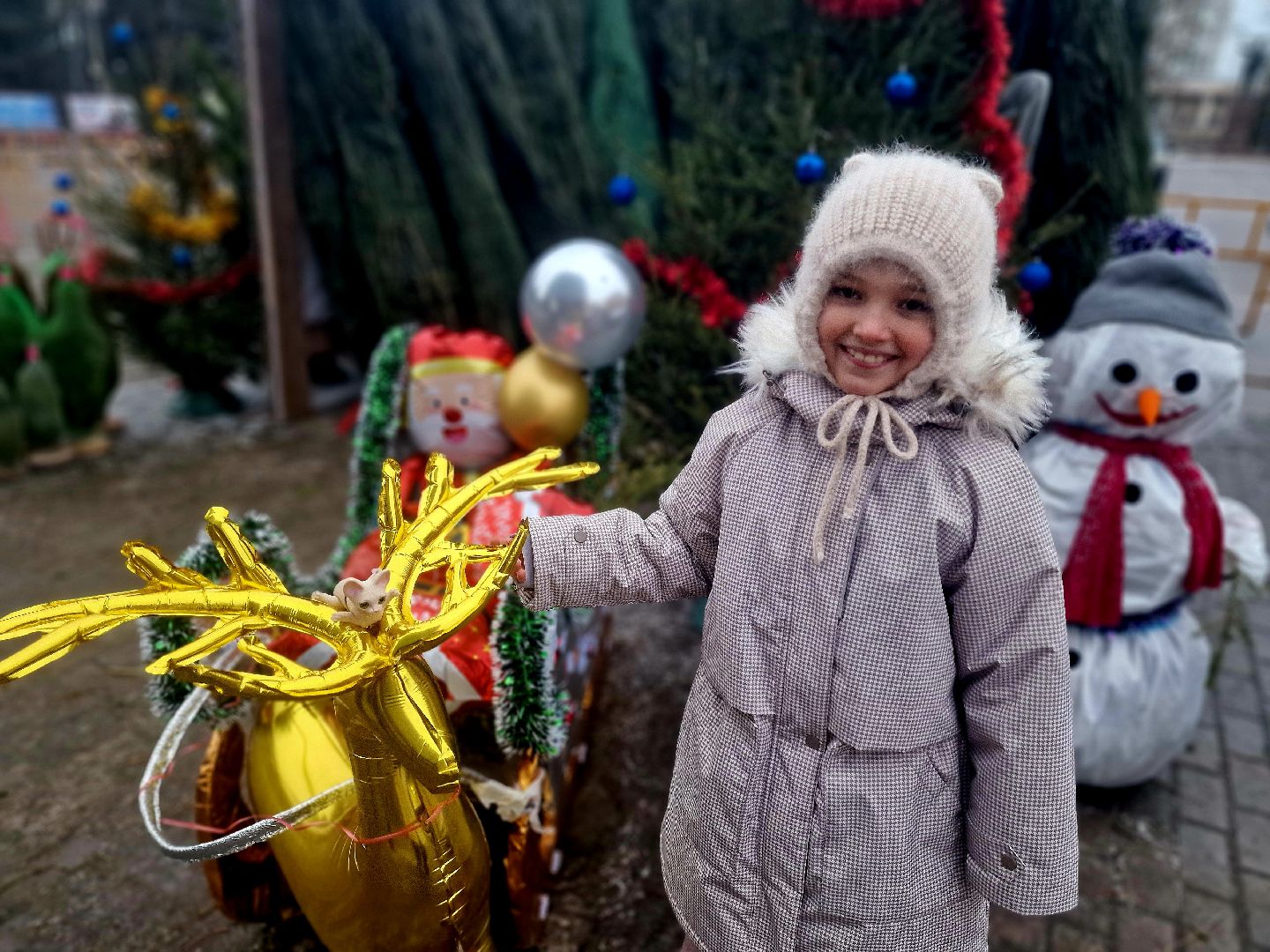 воскресенск, елочные базары,