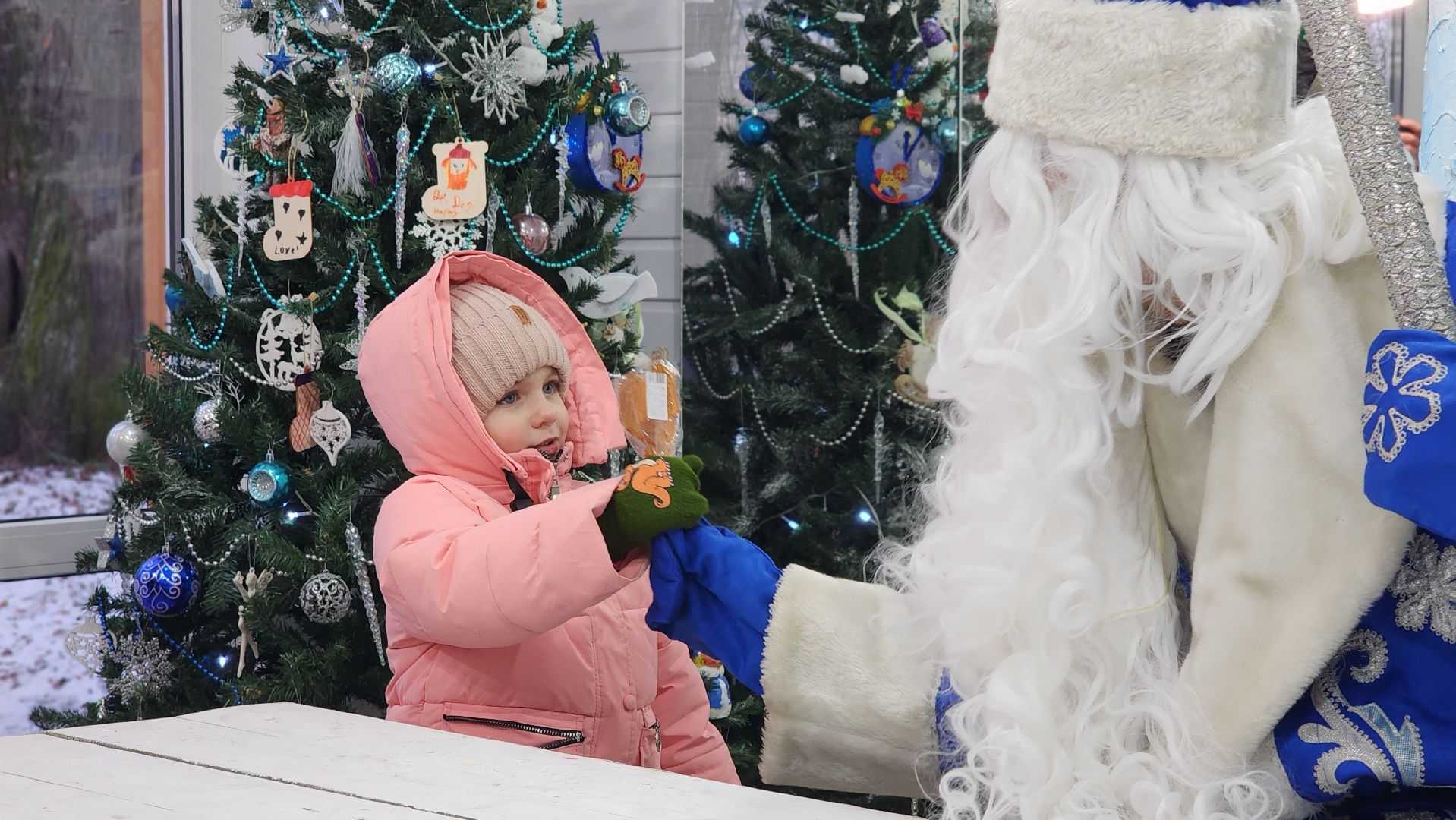 зима в подмосковье, парки подмосковья, дед мороз, лосино-петровский,