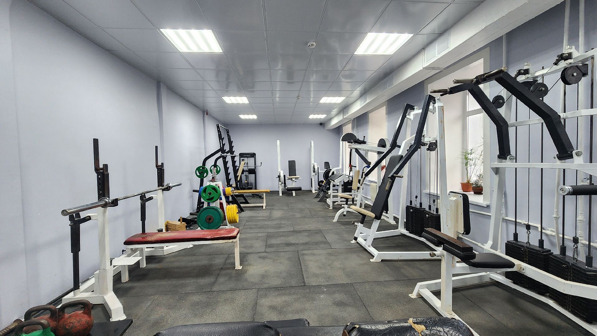 Зарайск, Спорт, спортивный клуб витязь, Открытие после ремонта,