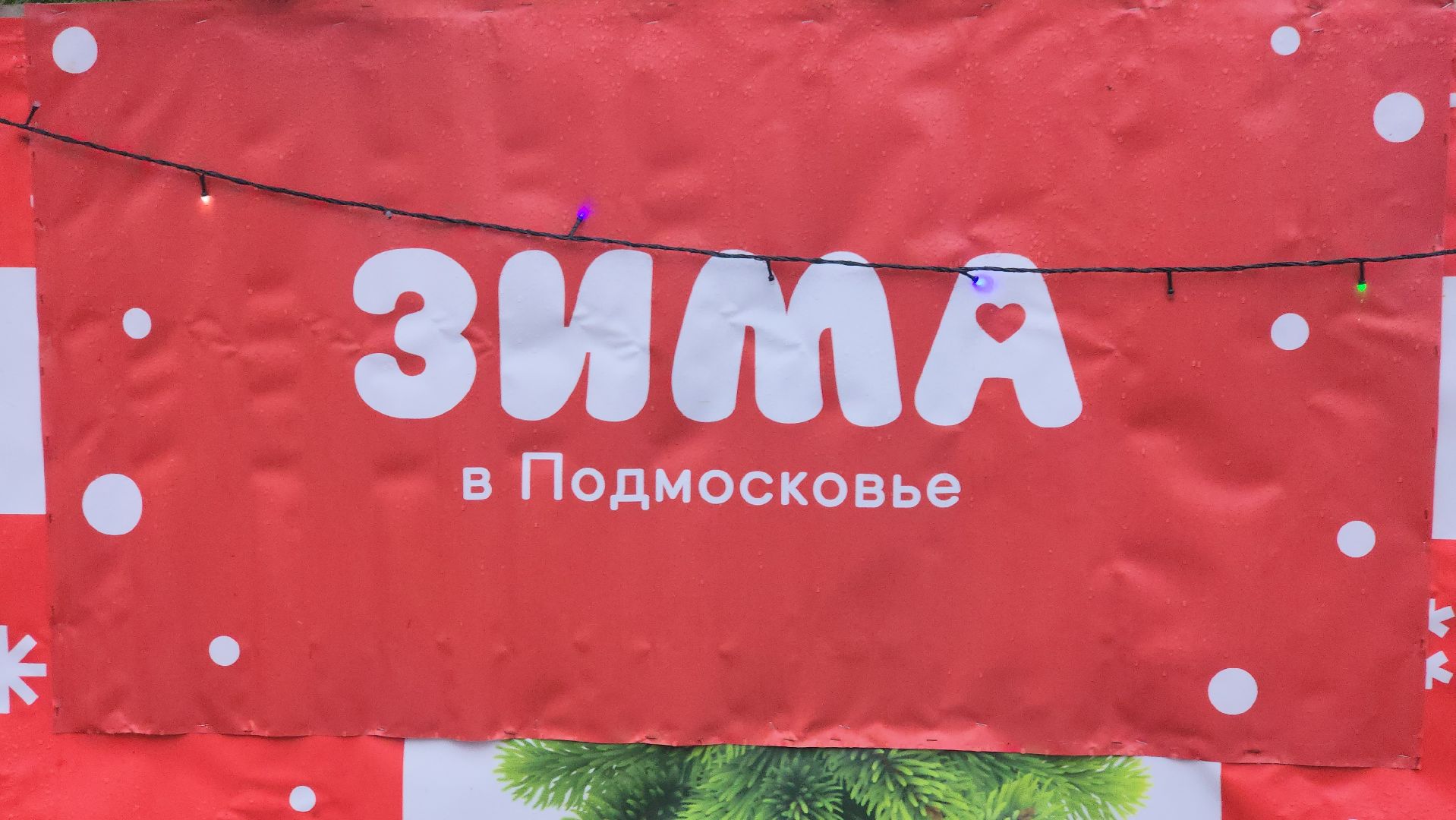 королёв, елочные базары, Елки в Королеве,