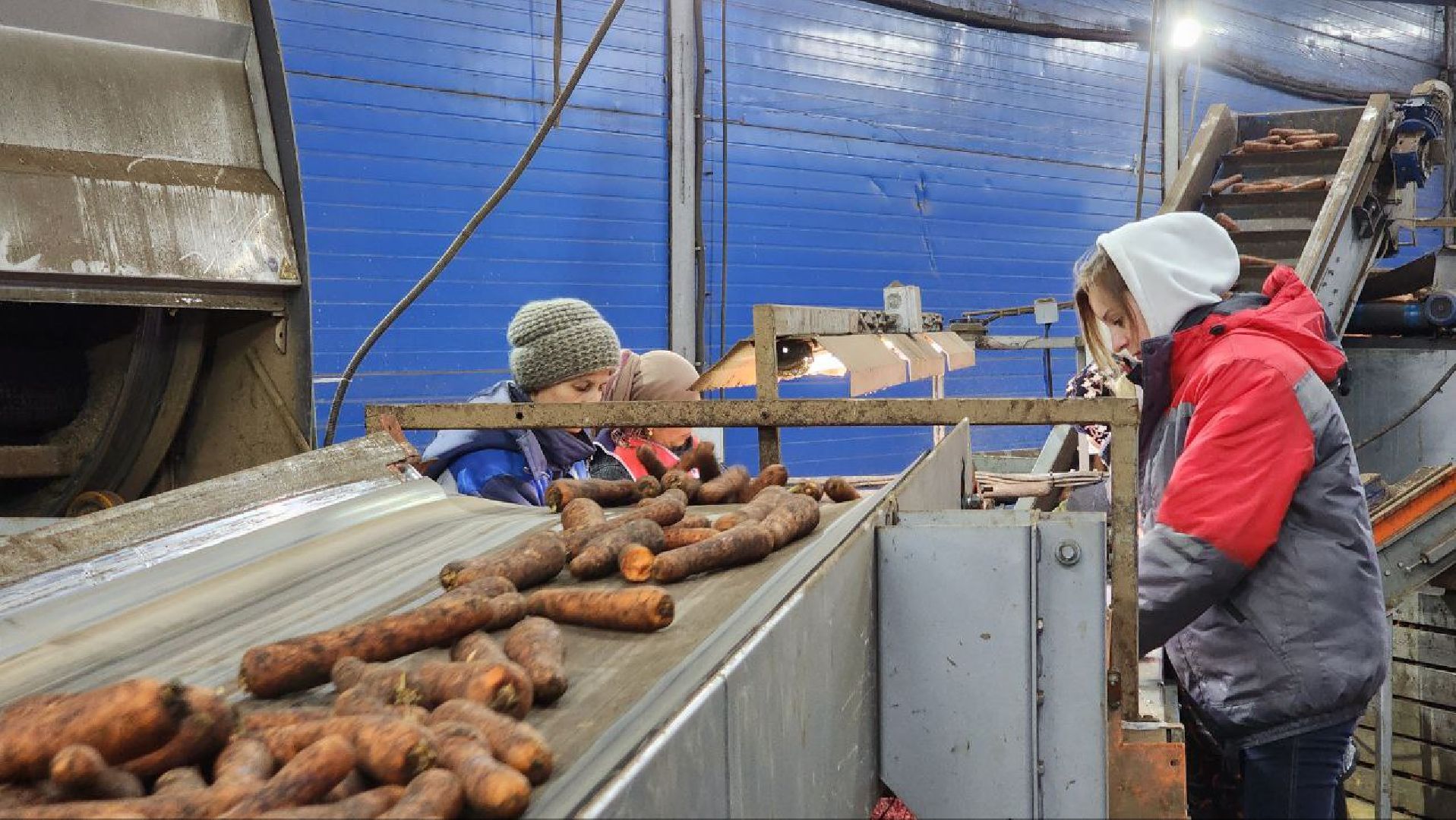 Дмитров, Мосагрофуд-Д, Минсельхоз,