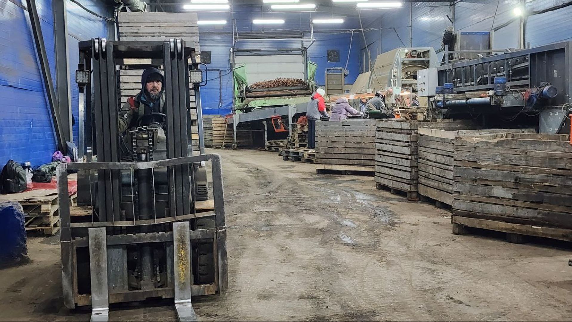 Дмитров, Мосагрофуд-Д, Минсельхоз,