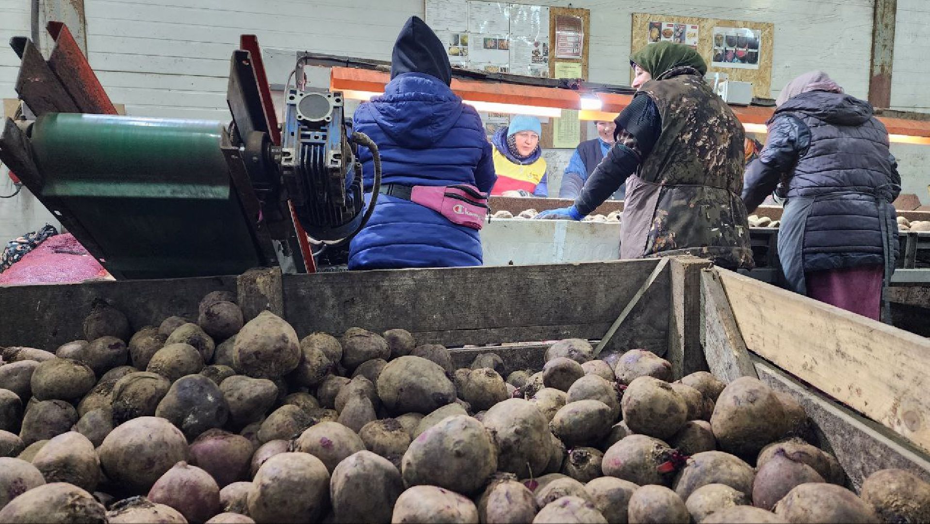 Дмитров, Мосагрофуд-Д, Минсельхоз,