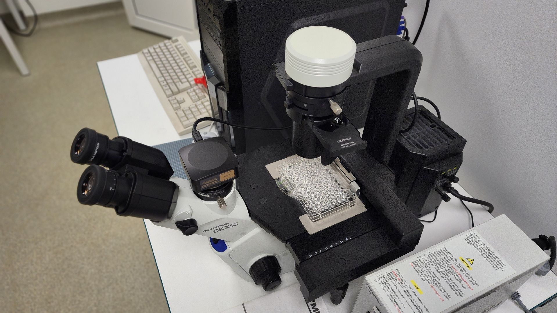 образование, билет в будущее, профориентация, школа, биотехнологии, лосино-петровский,