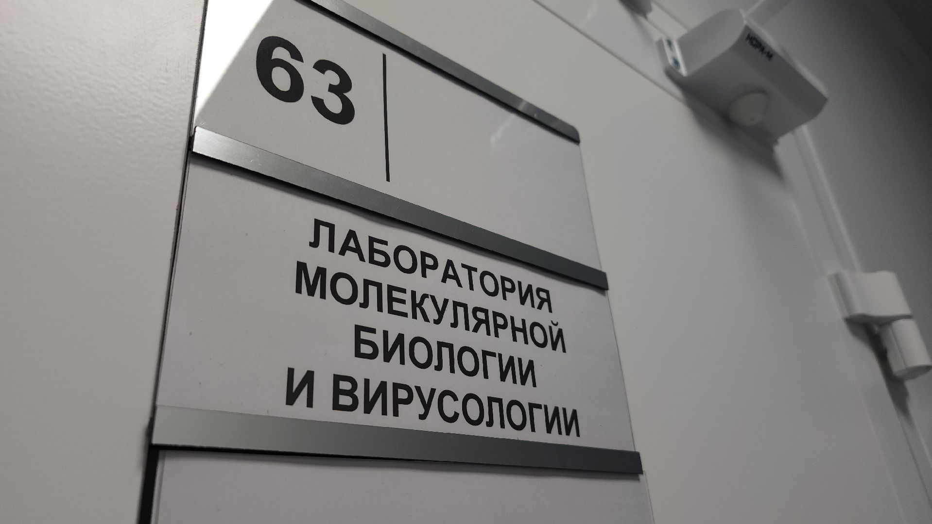 образование, билет в будущее, профориентация, школа, биотехнологии, лосино-петровский,