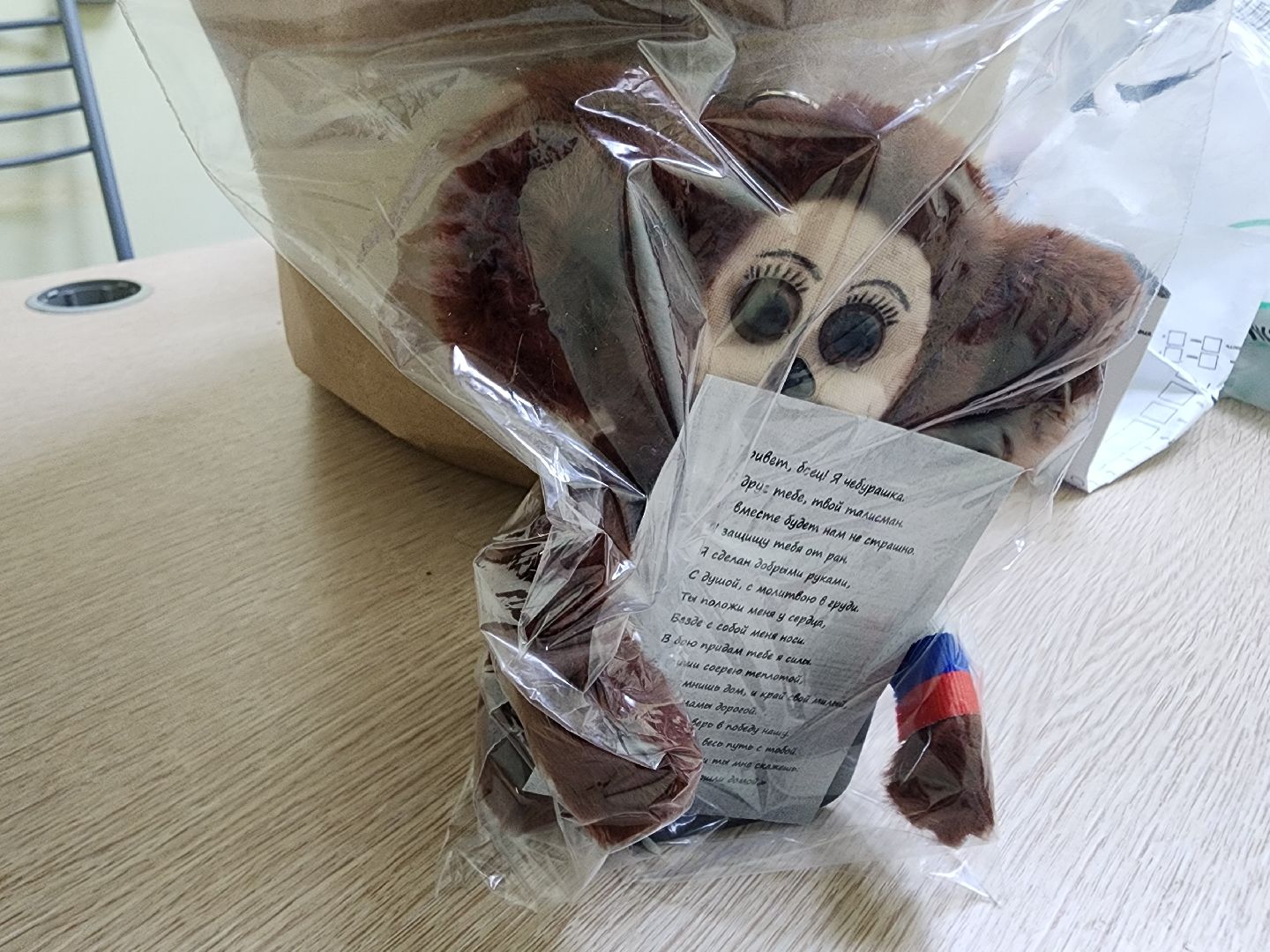 городской округ пушкинский, активное долголетие, красноармейск, чебурашка для сво,