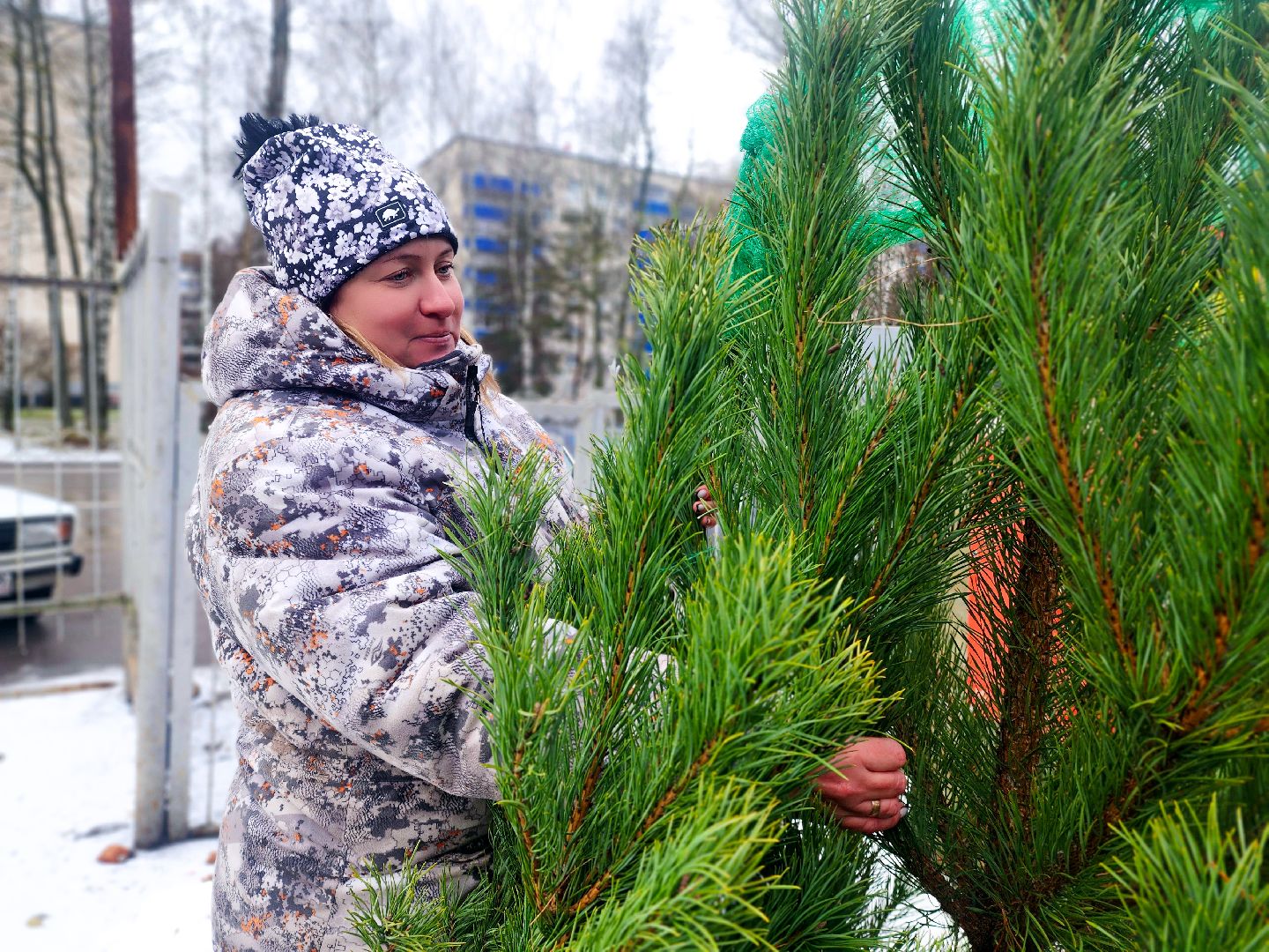 пущино, серпухов, новый год,