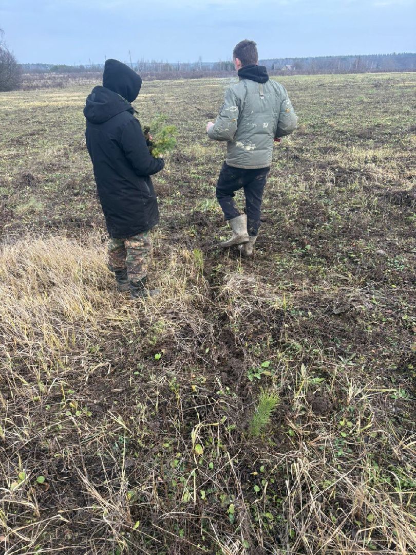 пущино, серпухов, новый год,