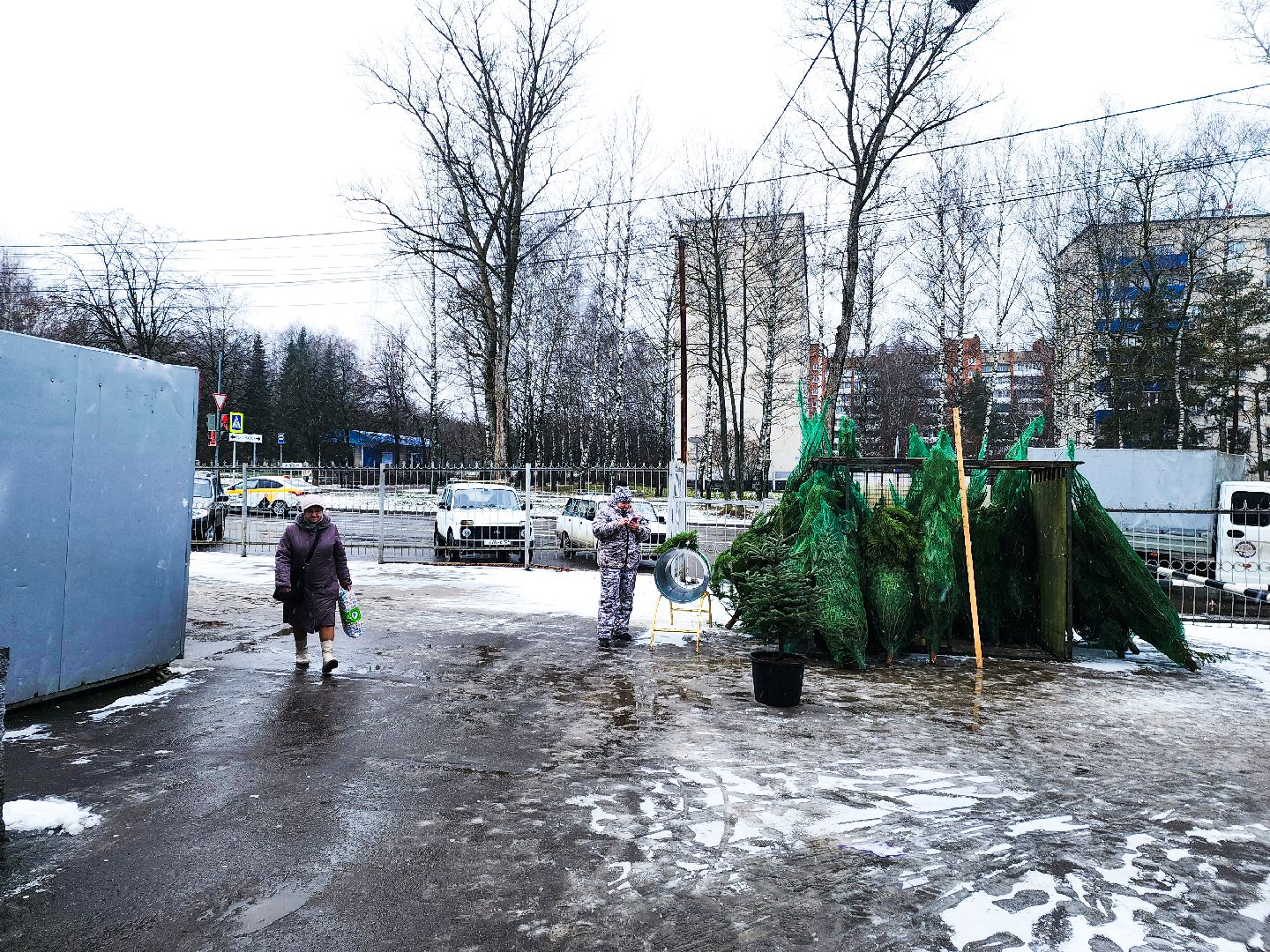 пущино, серпухов, новый год,