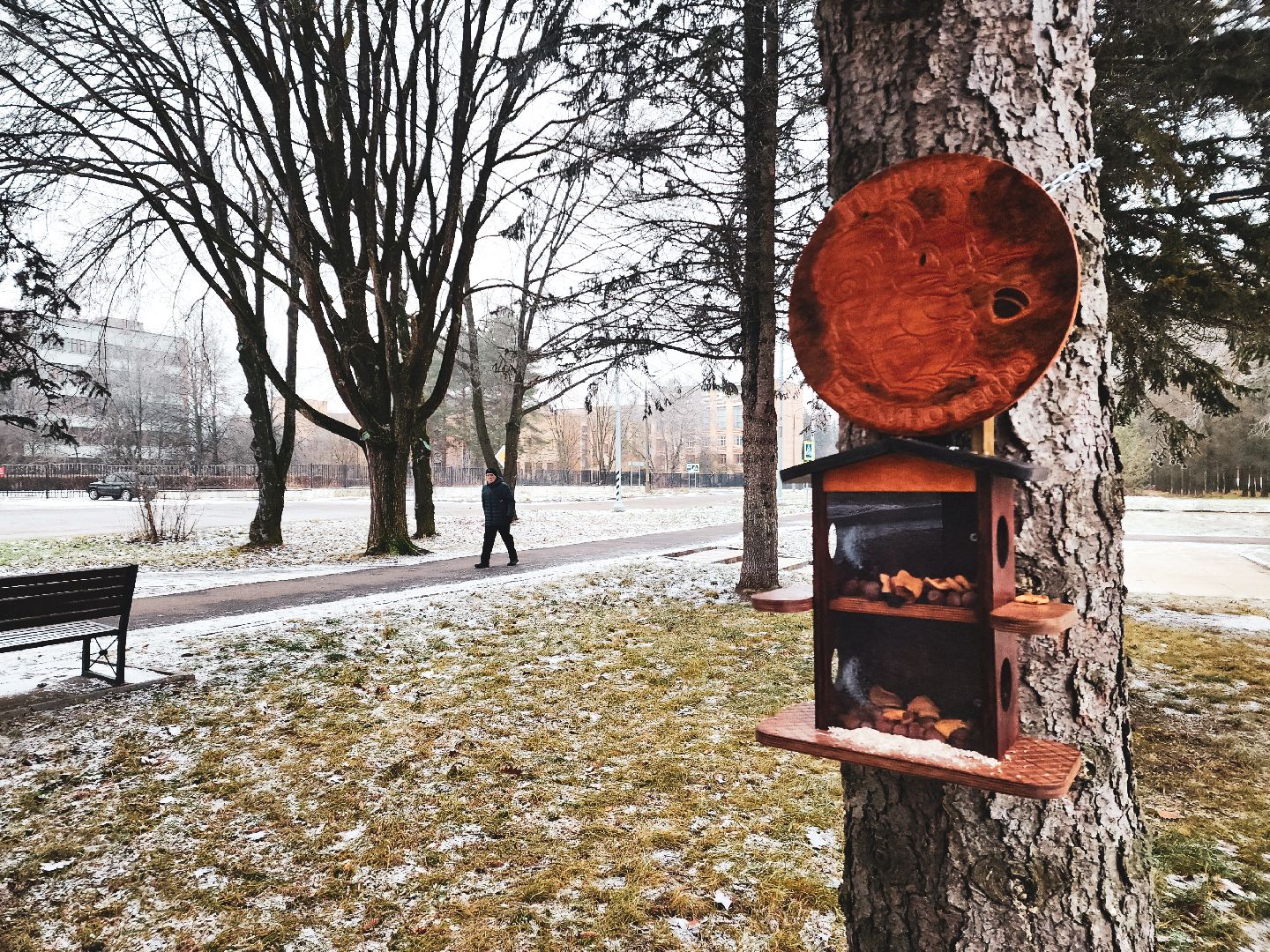 пущино, серпухов, волонтеры,