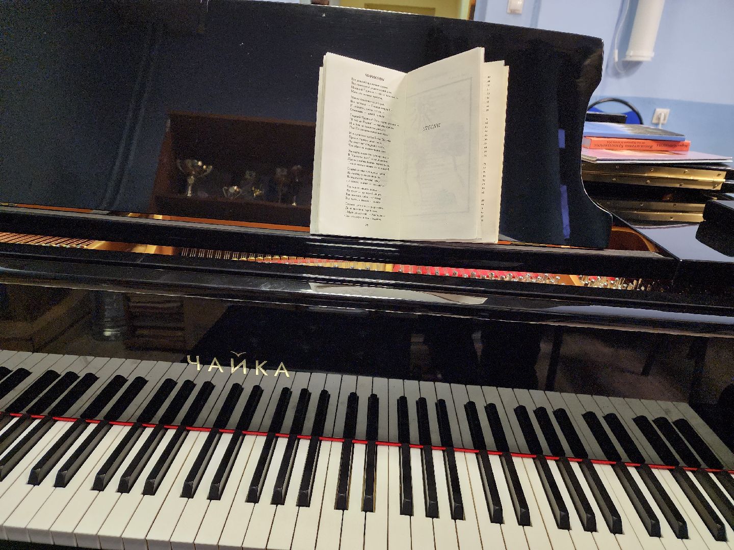 красноармейск, городской округ пушкинский, творческий вечер, литературное наследие,