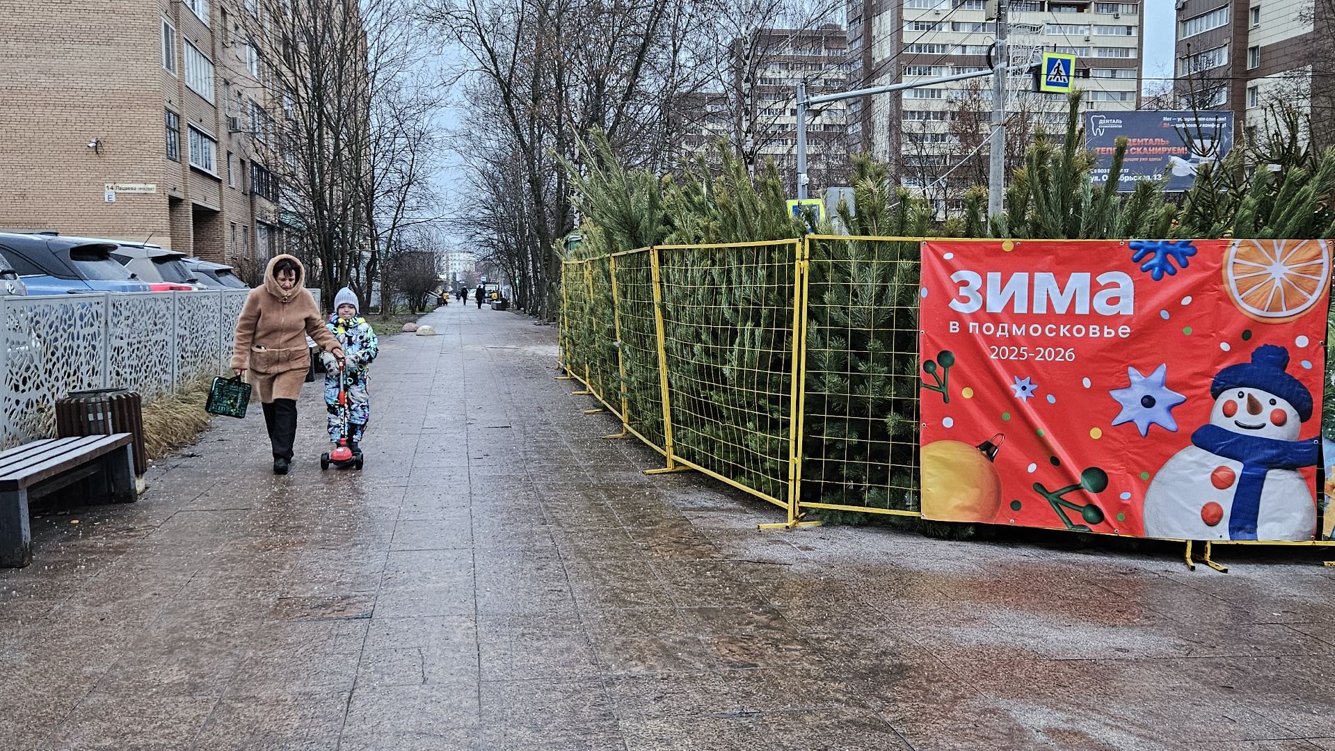 долгопрудный, елочный базар, ёлка, ель на новый год,