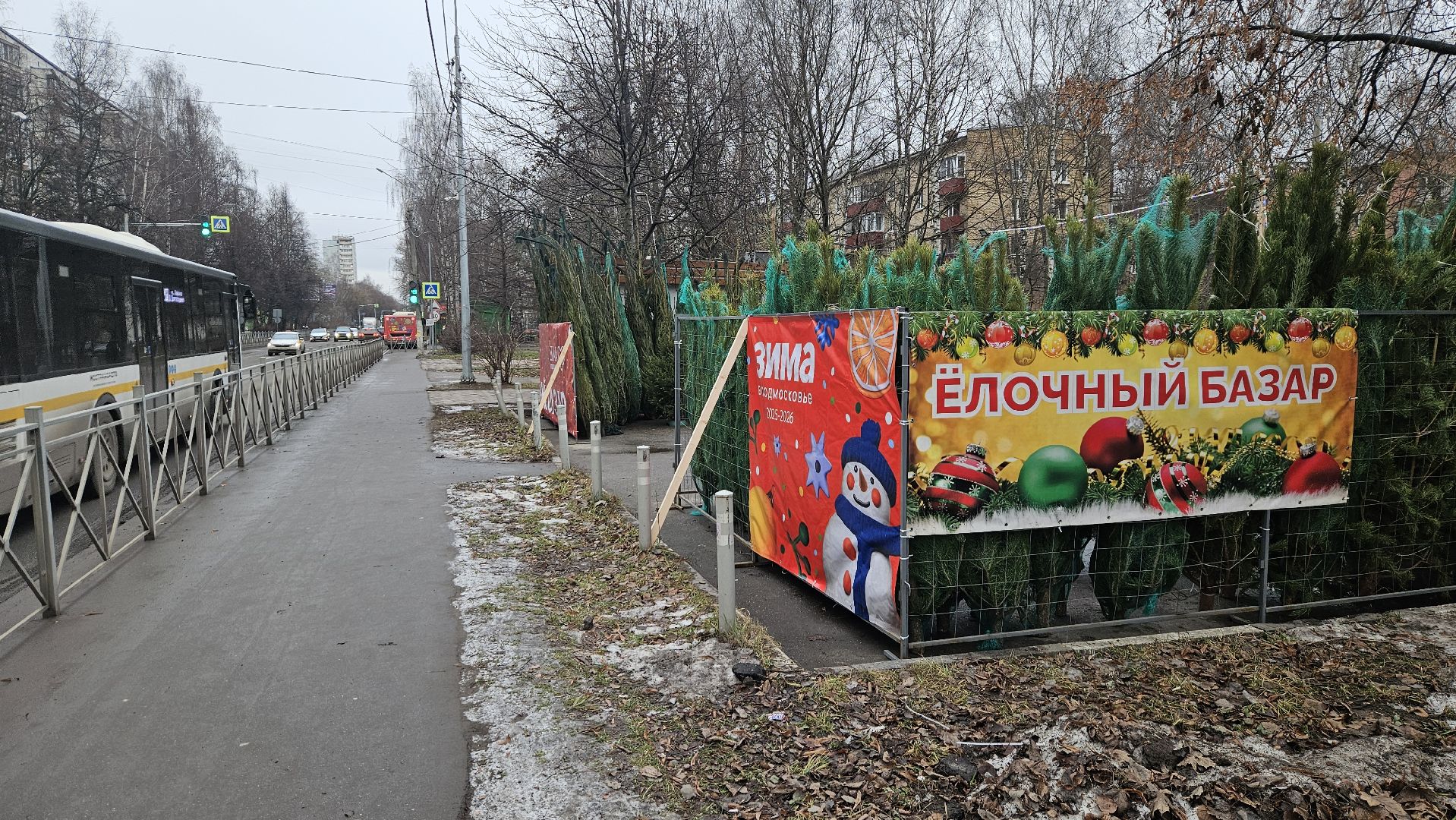 долгопрудный, елочный базар, ёлка, ель на новый год,