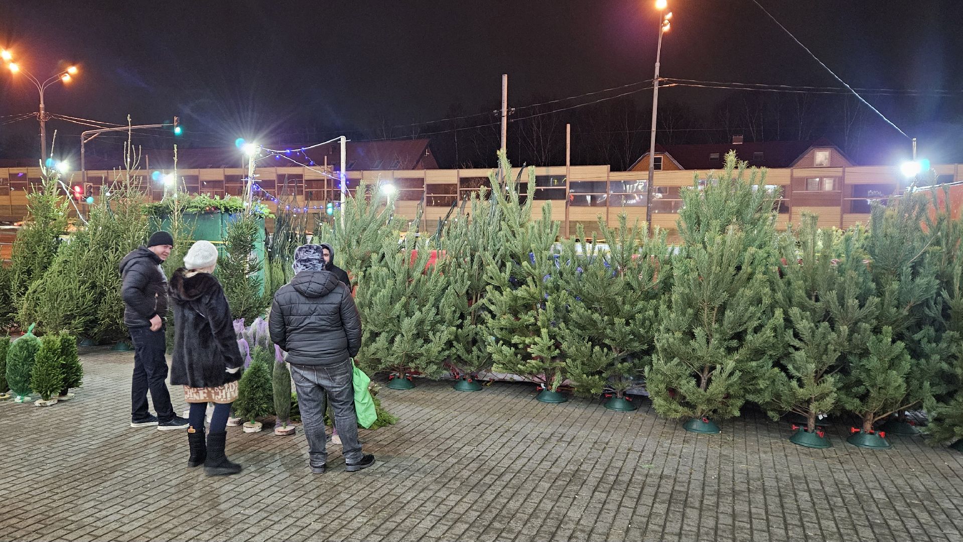 долгопрудный, елочный базар, ёлка, ель на новый год,