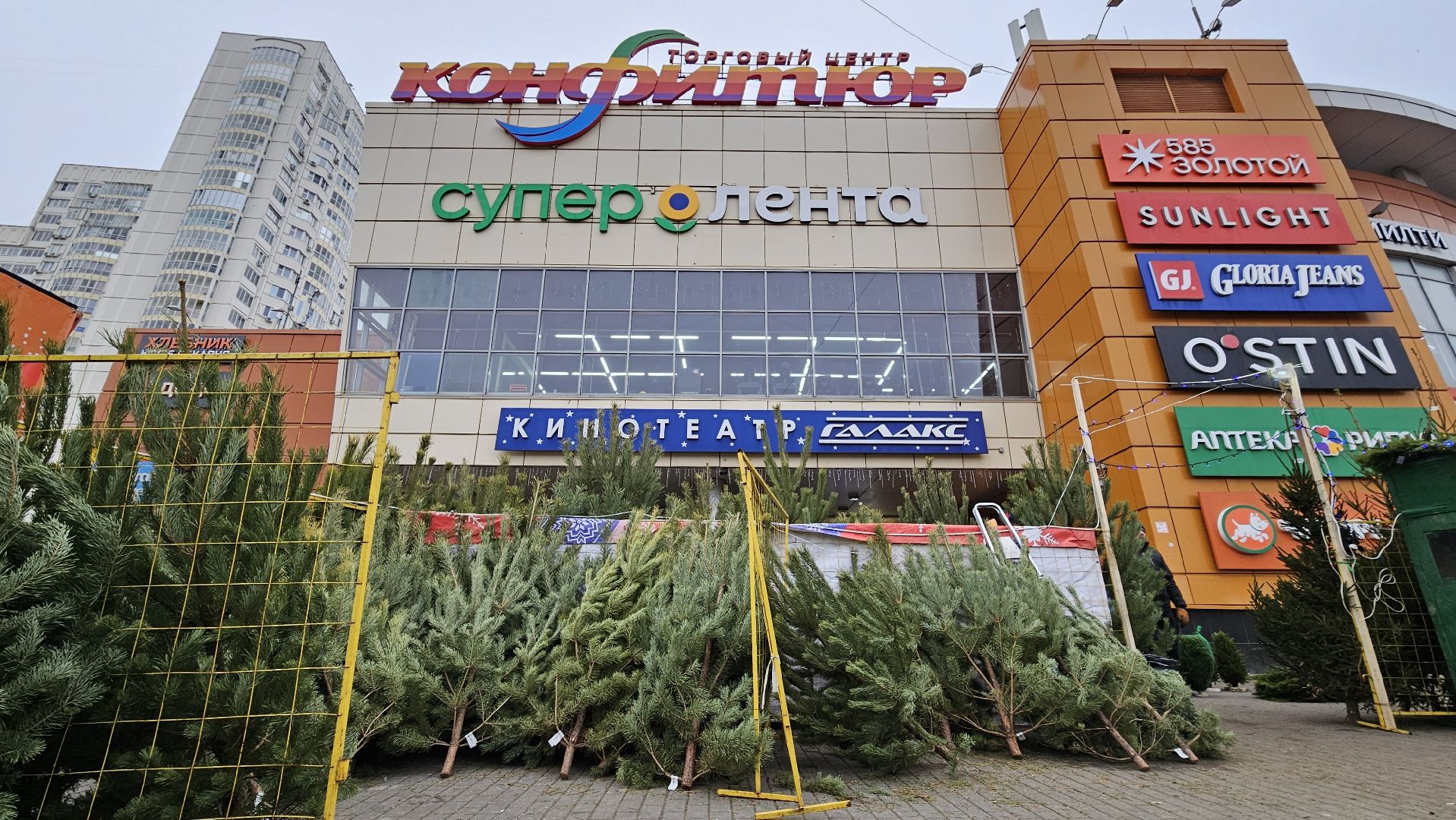 долгопрудный, елочный базар, ёлка, ель на новый год,