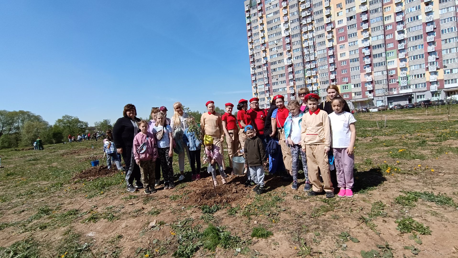 Лобня, дерево, акция