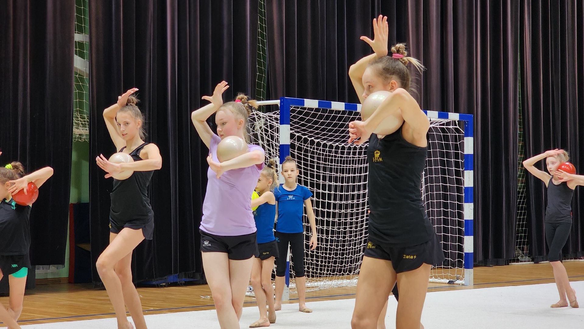 Руза, Спорт, художественная гимнастика,