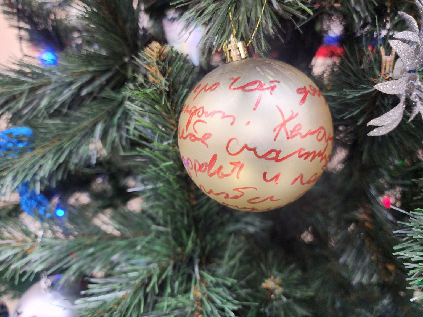 солнечногорск, специальная военная операция, общество, ассоциация ветеранов СВО солнечногорск ,