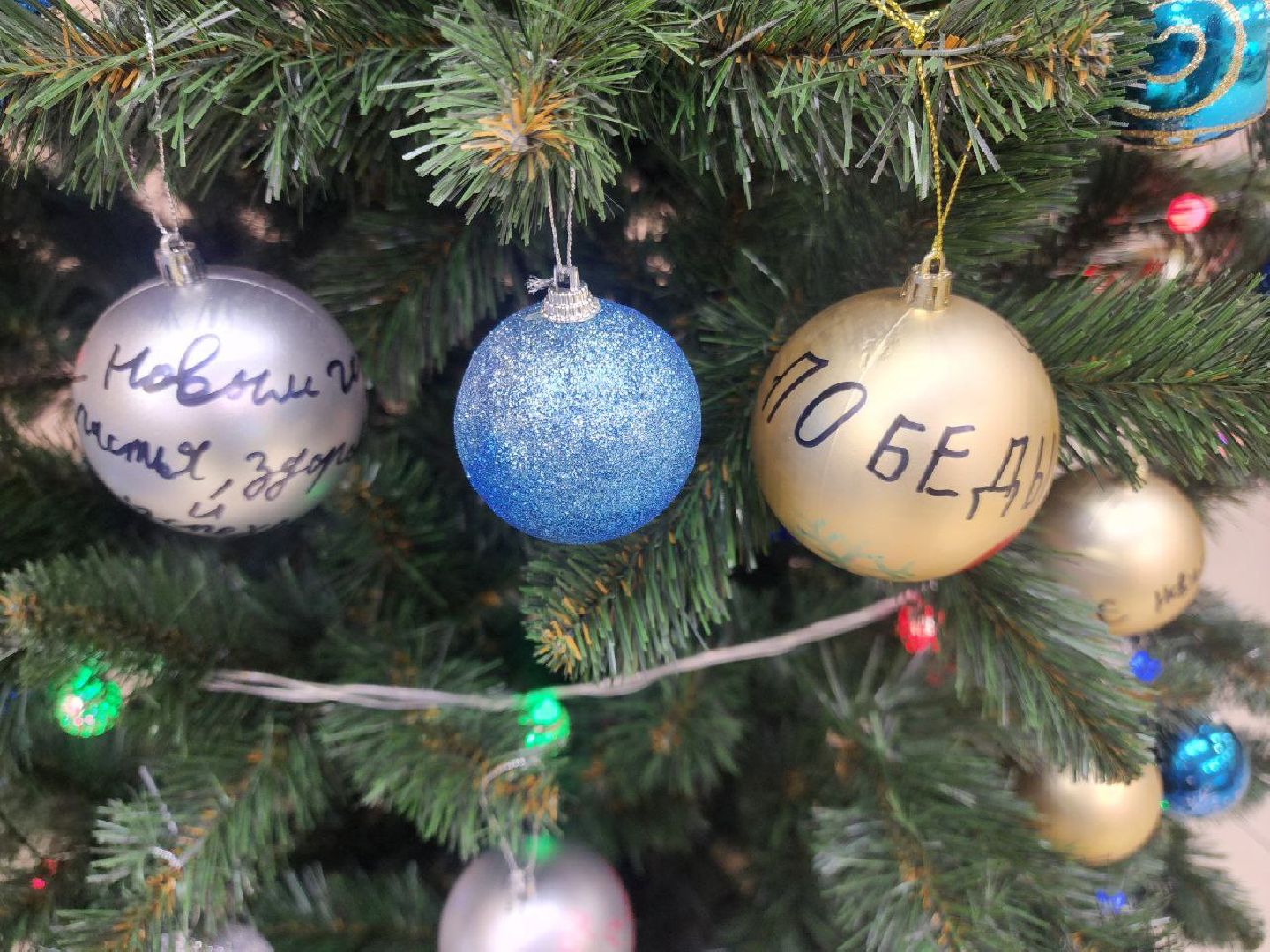 солнечногорск, специальная военная операция, общество, ассоциация ветеранов СВО солнечногорск ,