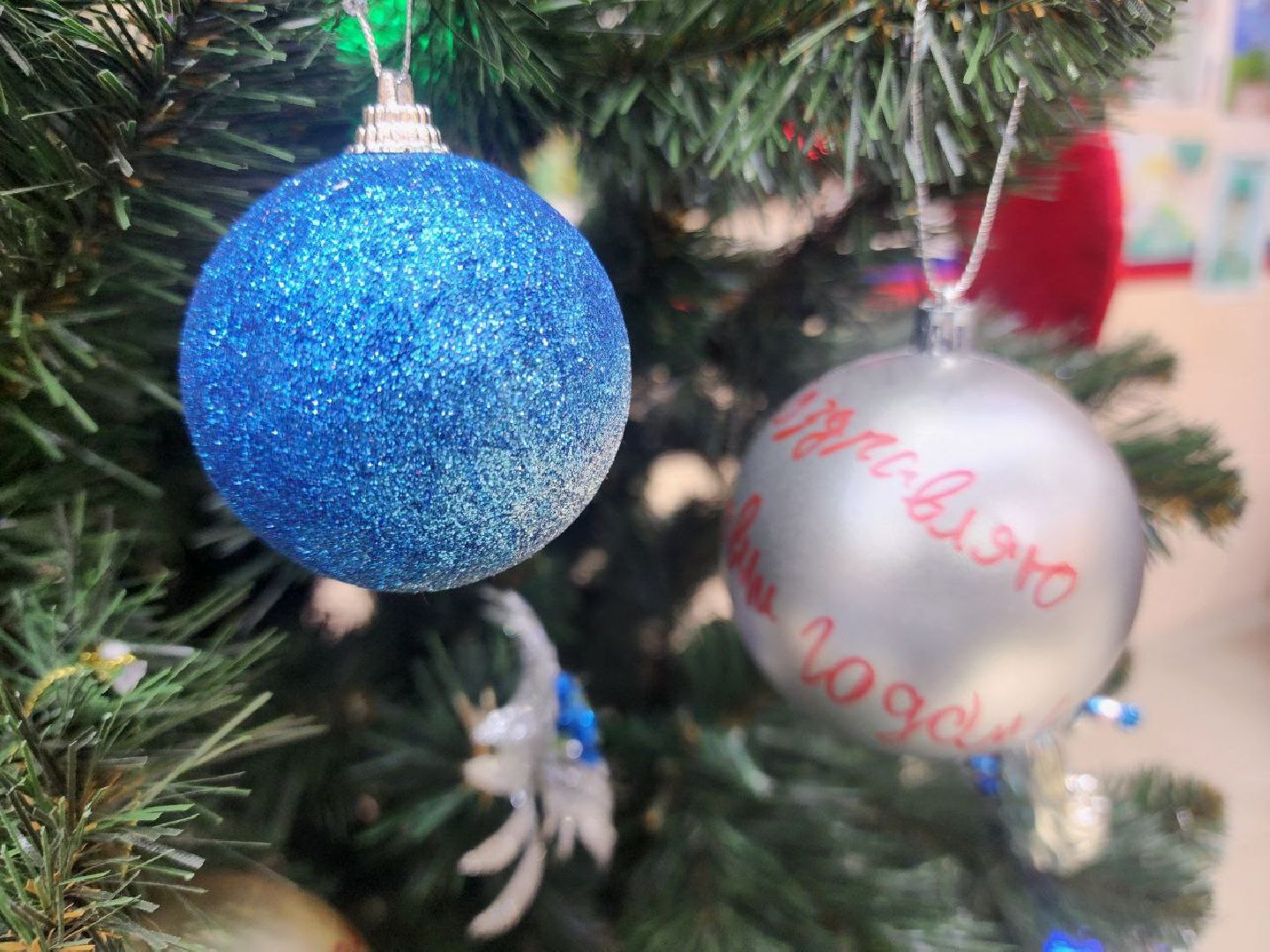 солнечногорск, специальная военная операция, общество, ассоциация ветеранов СВО солнечногорск ,