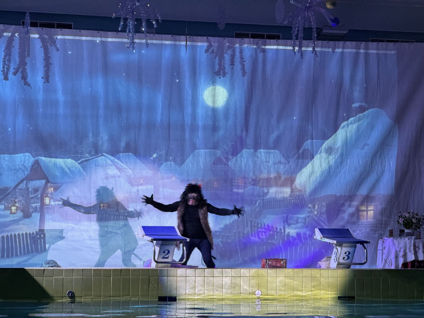 елка на воде, ленинский городской округ, новогоднее шоу , дельфин ,