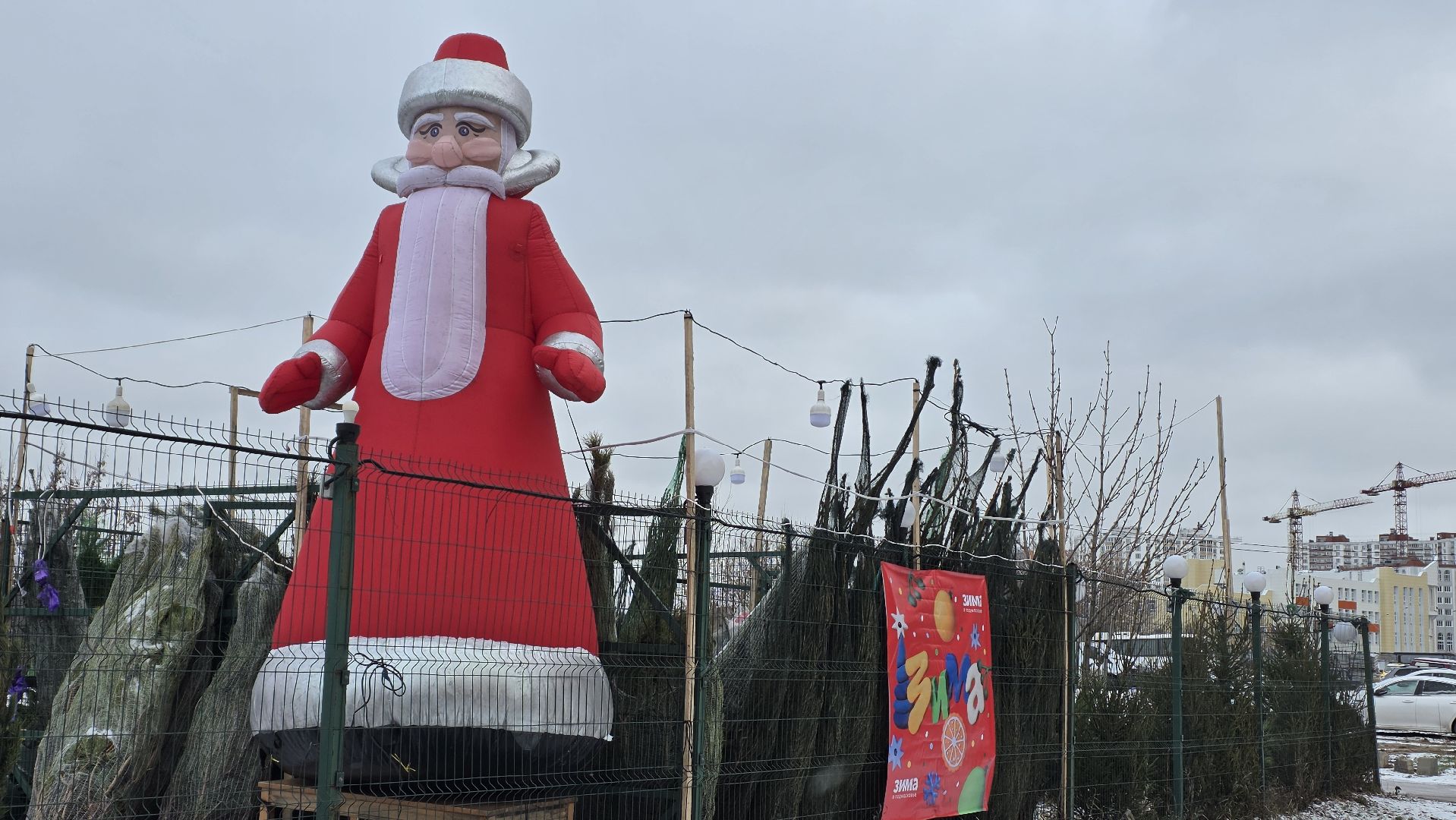 елочный базар, новый год, зима в подмосковье,