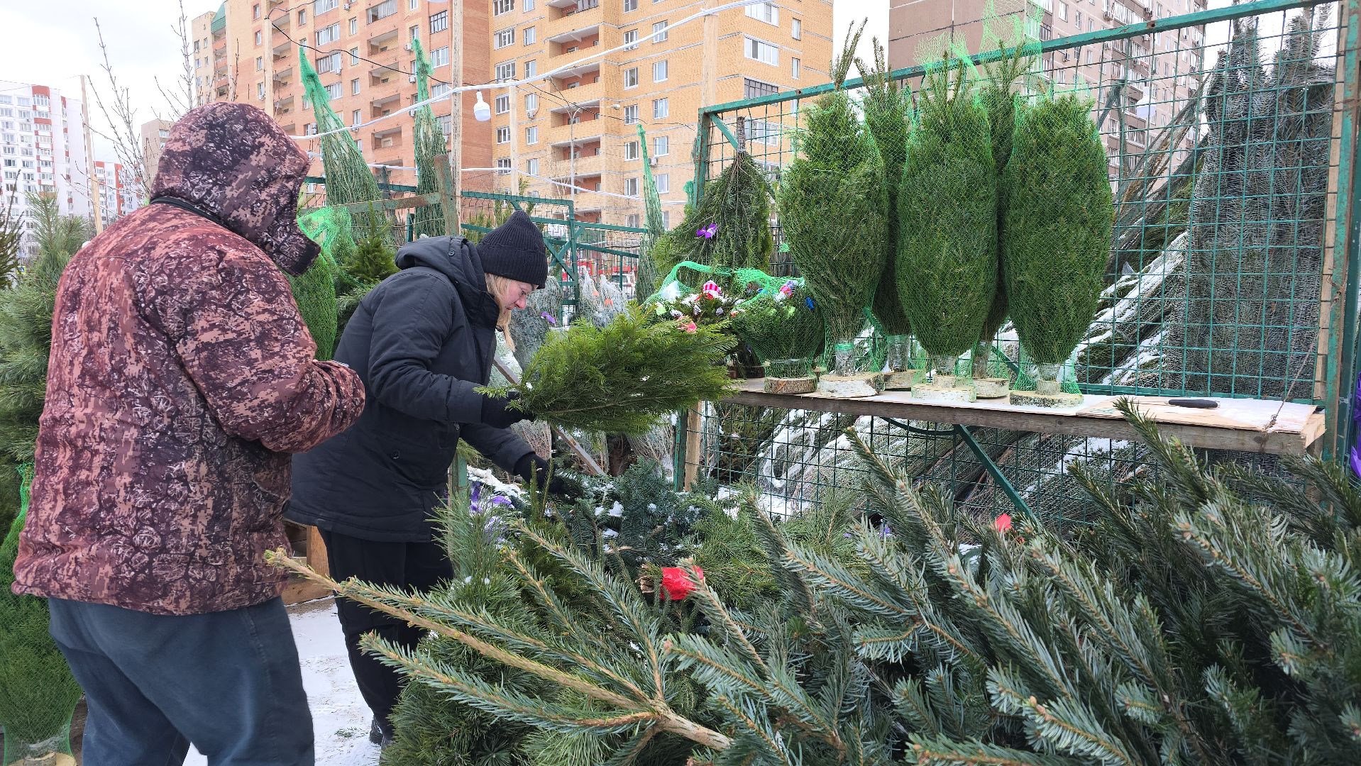 елочный базар, новый год, зима в подмосковье,