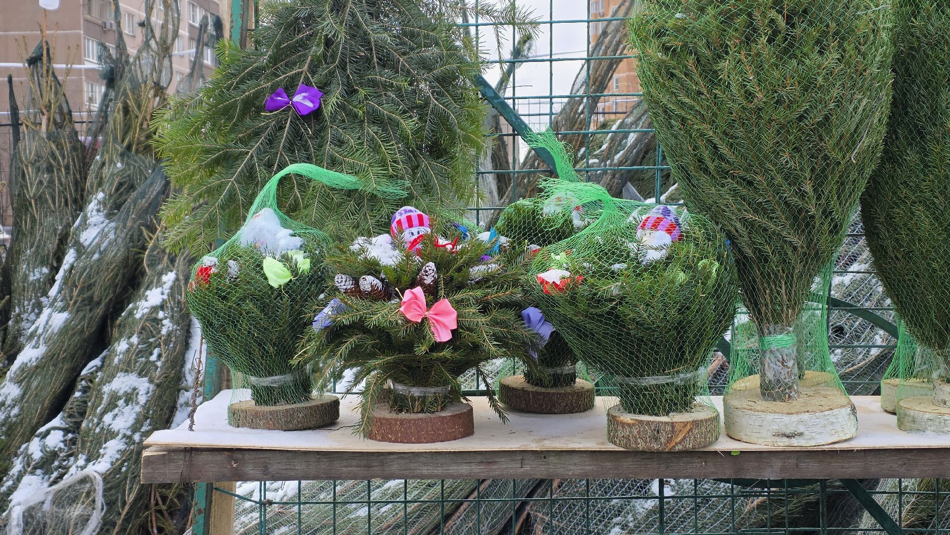 елочный базар, новый год, зима в подмосковье,