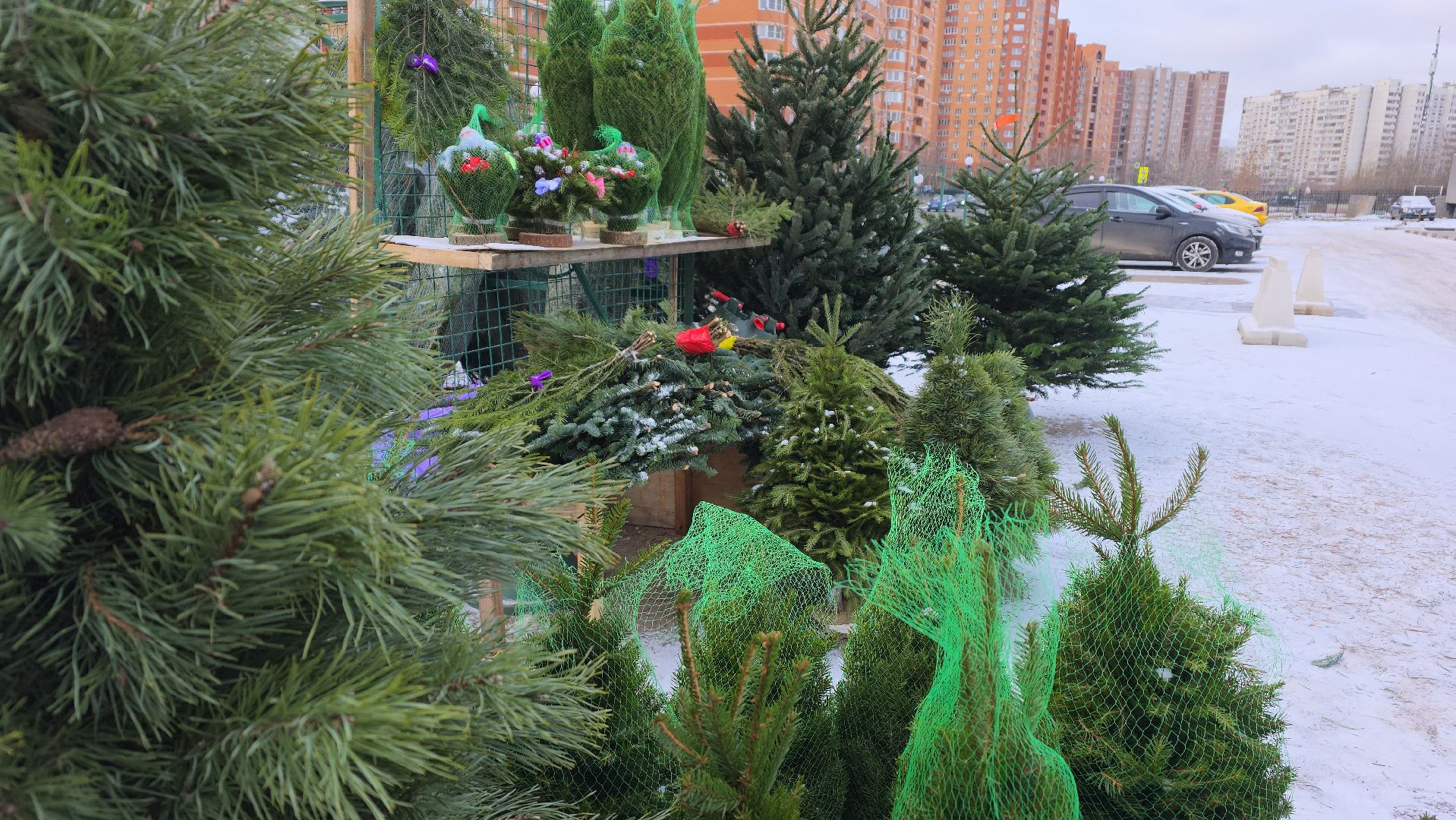 елочный базар, новый год, зима в подмосковье,