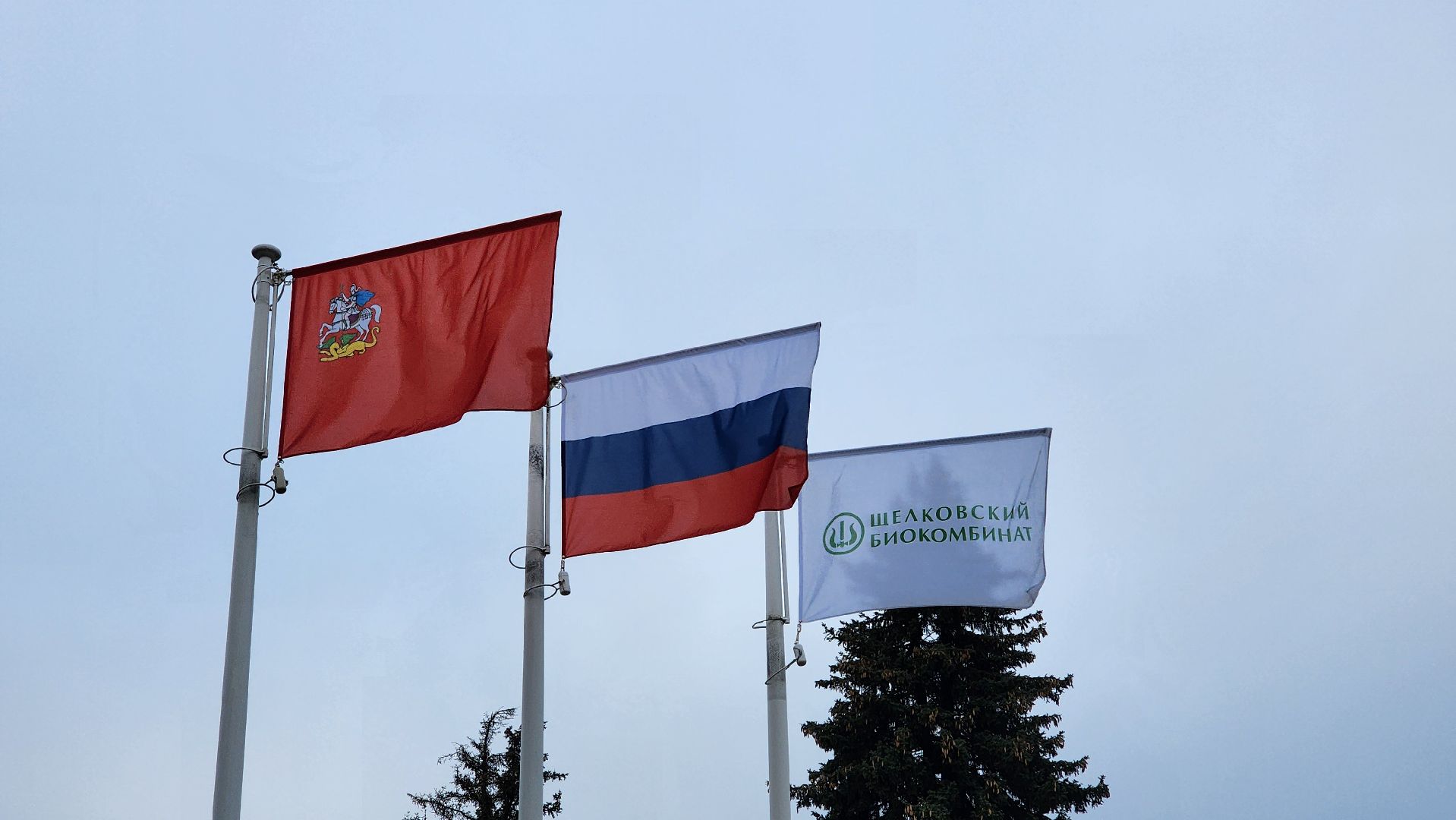 экономика, предприятия, сельское хозяйство, биокомбинат, ветеринария, вакцины, животные, лосино-петровский,