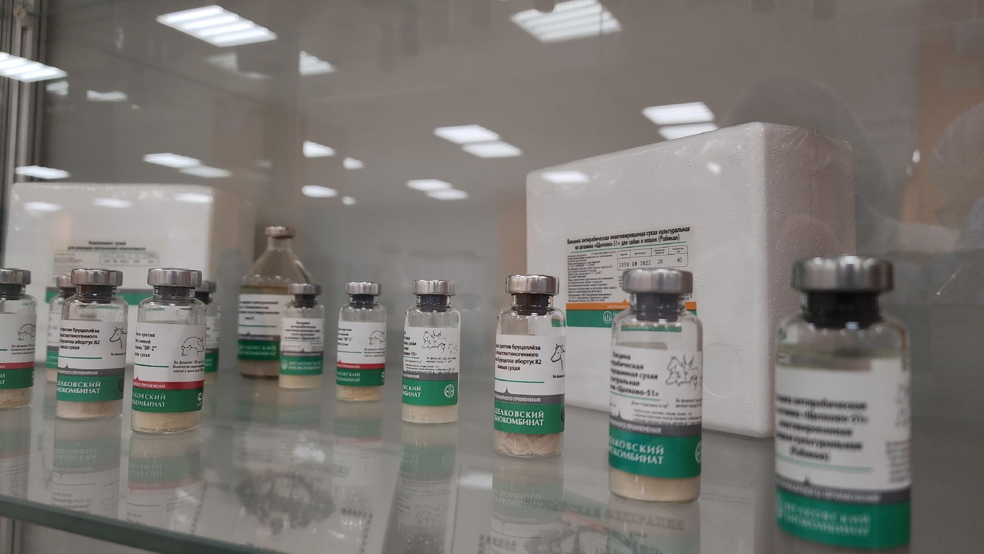 экономика, предприятия, сельское хозяйство, биокомбинат, ветеринария, вакцины, животные, лосино-петровский,