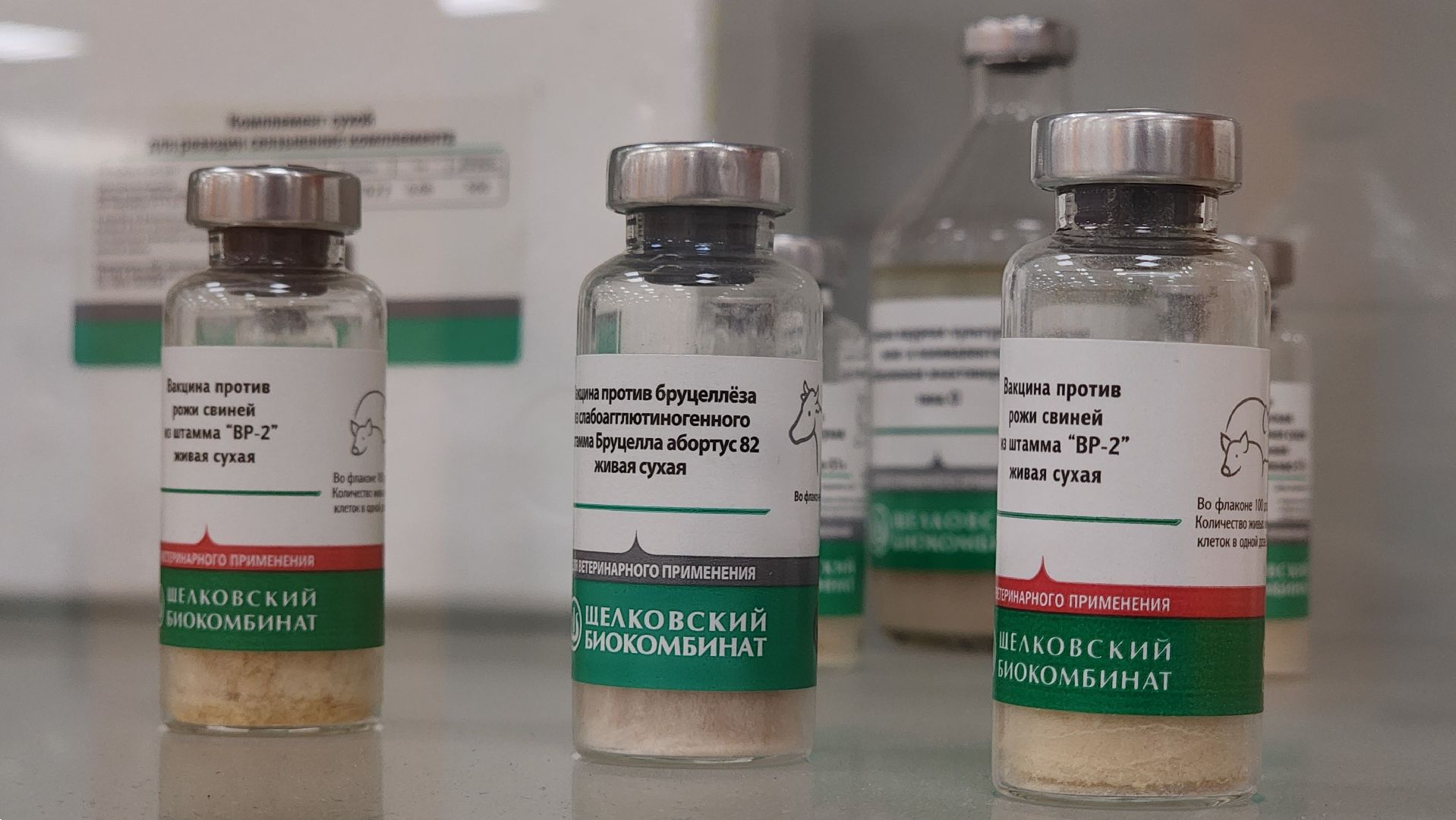 экономика, предприятия, сельское хозяйство, биокомбинат, ветеринария, вакцины, животные, лосино-петровский,