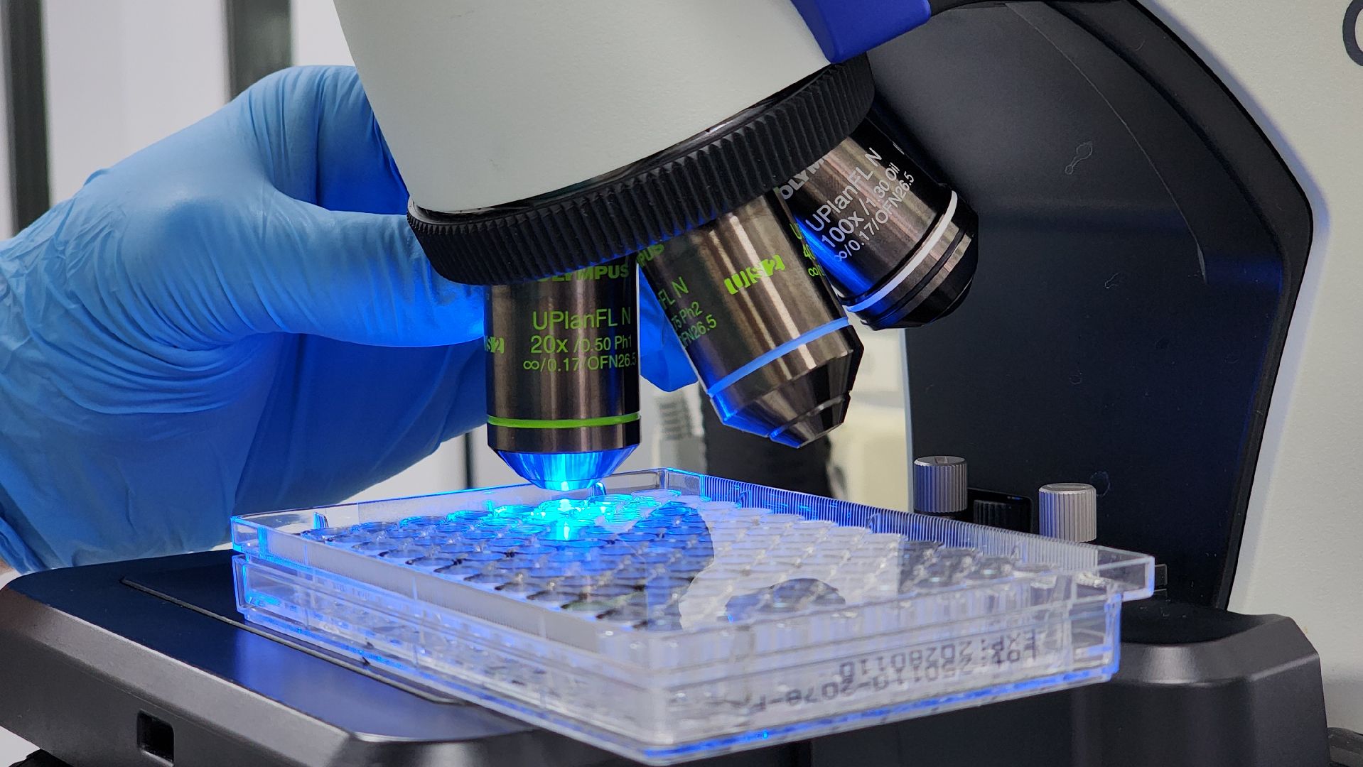 экономика, предприятия, сельское хозяйство, биокомбинат, ветеринария, вакцины, животные, лосино-петровский,