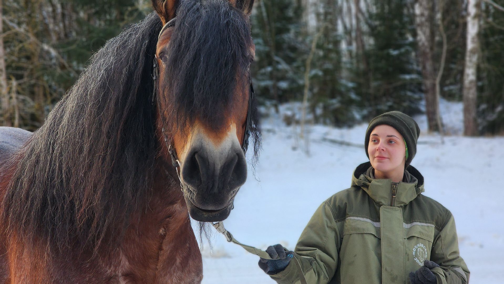 волоколамск, сычево, центр воспроизводства редких видов животных, пони, глафира, досуг,