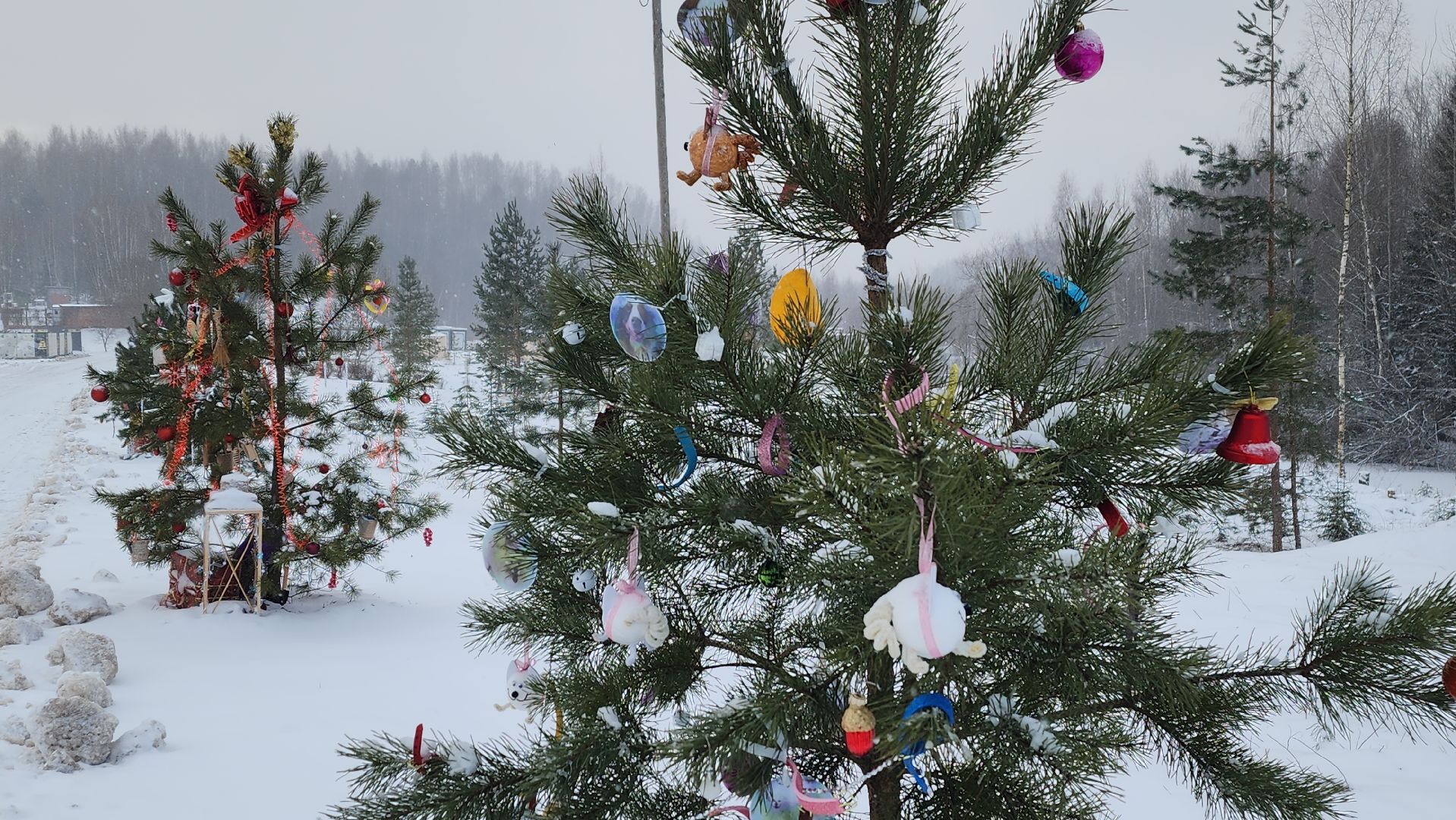 волоколамск, сычево, центр воспроизводства редких видов животных, пони, глафира, досуг,