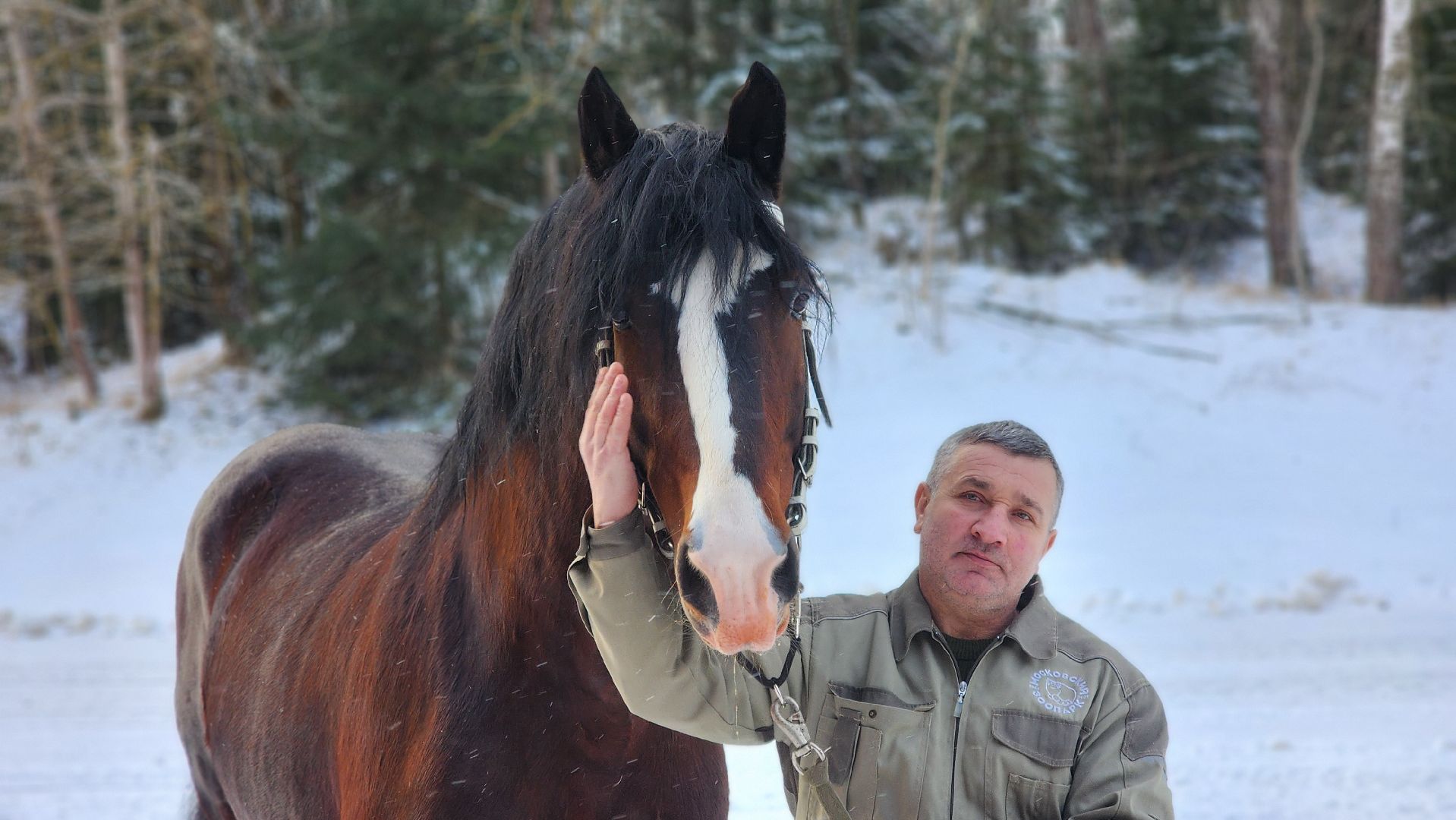 волоколамск, сычево, центр воспроизводства редких видов животных, пони, глафира, досуг,