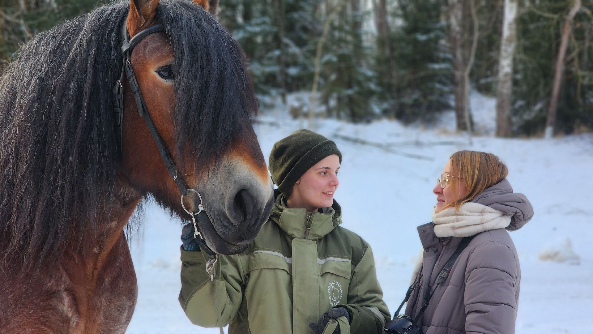 волоколамск, сычево, центр воспроизводства редких видов животных, пони, глафира, досуг,