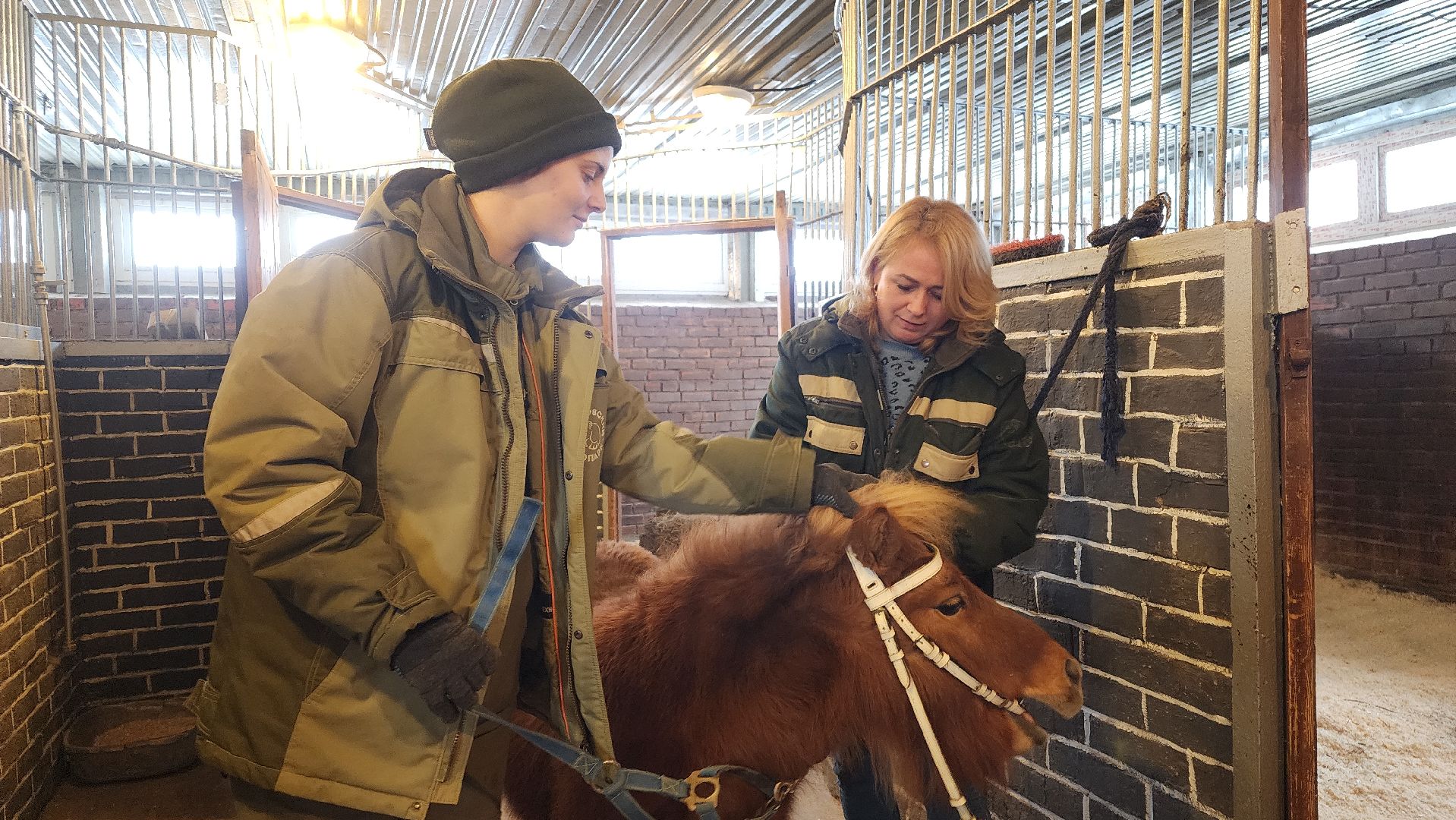 волоколамск, сычево, центр воспроизводства редких видов животных, пони, глафира, досуг,
