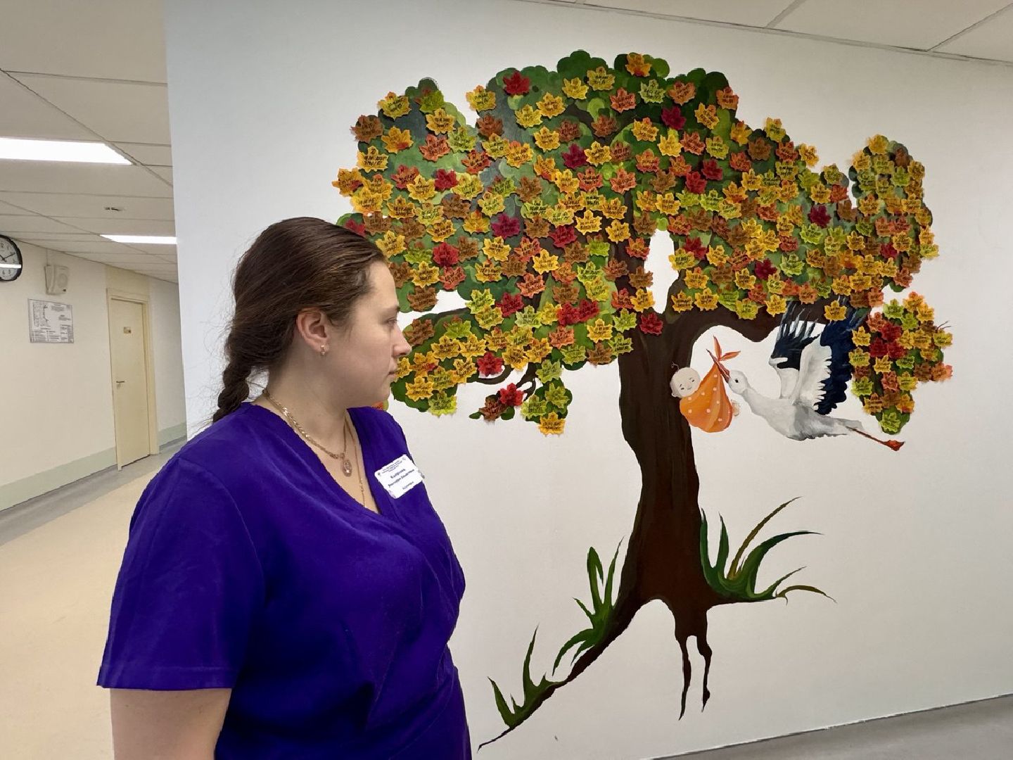 Сергиев Посад, Сергиево-Посадский Центр материнства и детства, роддом,