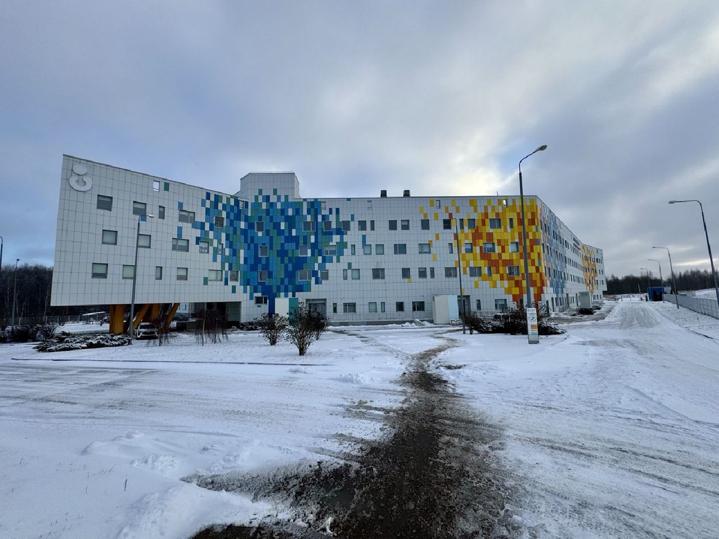 Сергиев Посад, Сергиево-Посадский Центр материнства и детства, роддом,