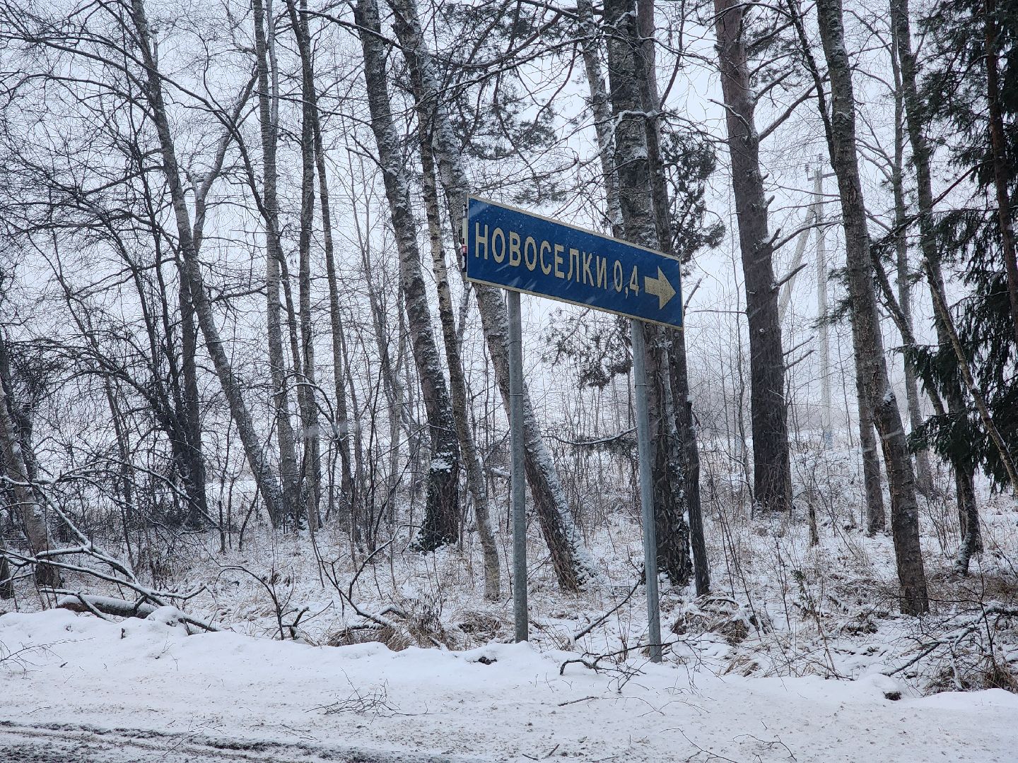 сергиев посад, сергиево-посадский городской округ, дороги, торгашино, новоселки, власово,река сухмань, ремонт моста,