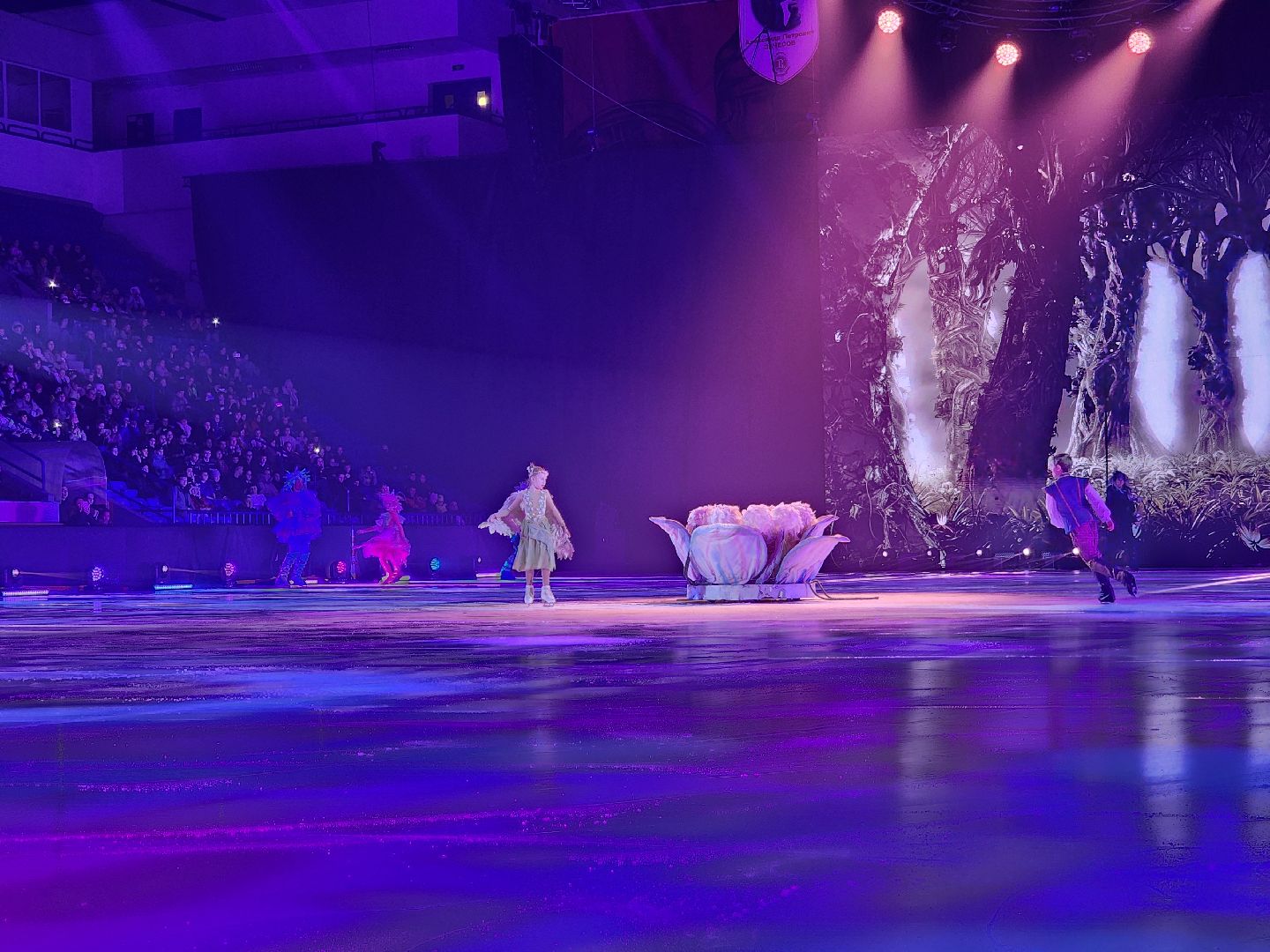 подольск, губернаторская елка, ледовое шоу,