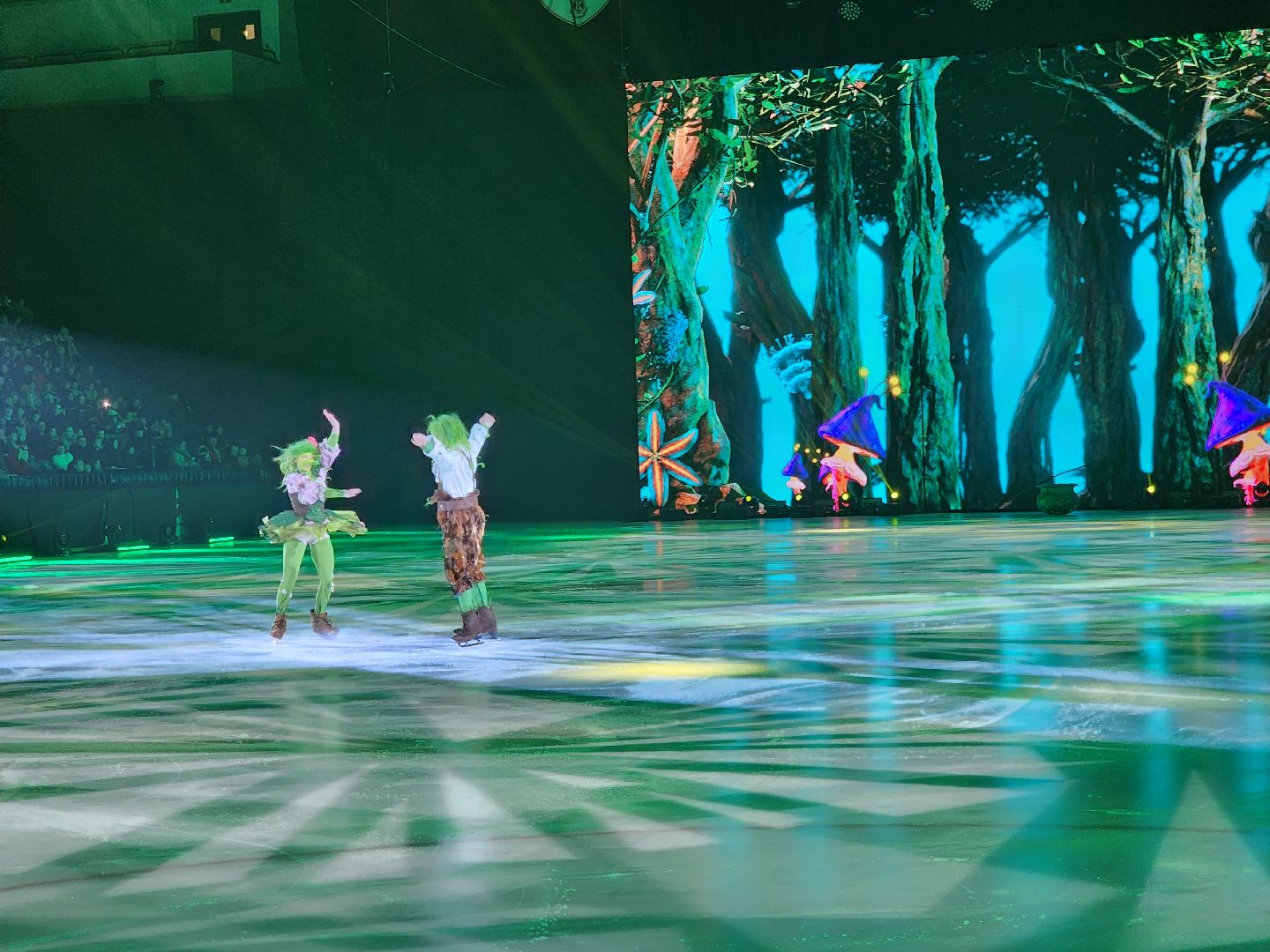 подольск, губернаторская елка, ледовое шоу,