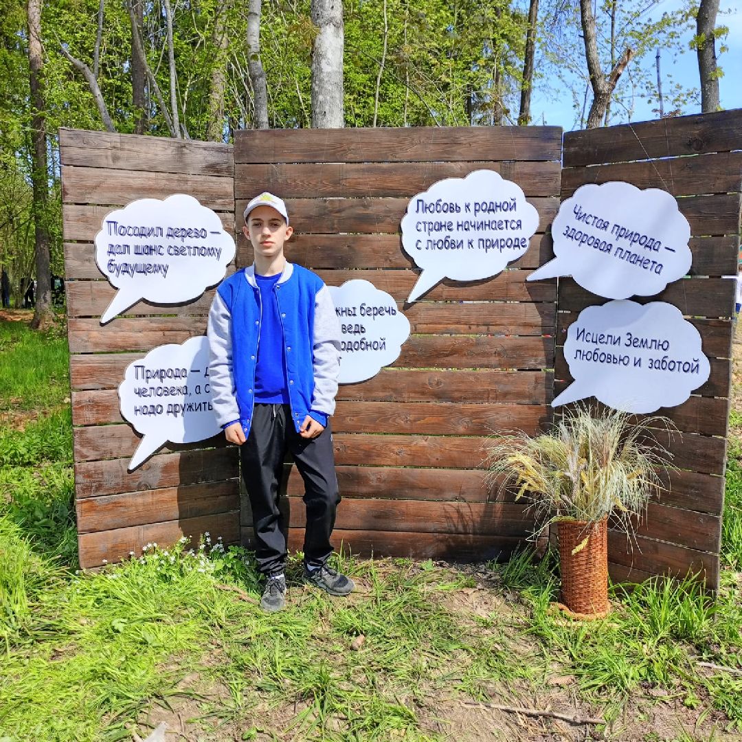 Долгопрудный, Лес Победы, сосны, сеянцы